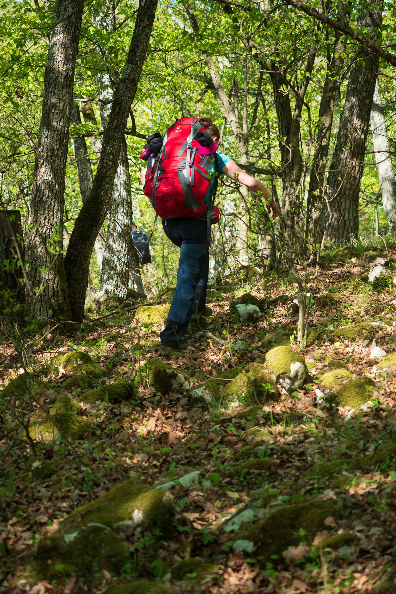 Miglinc a Ladislavova vyvieračka z Hája (Slovenský kras)