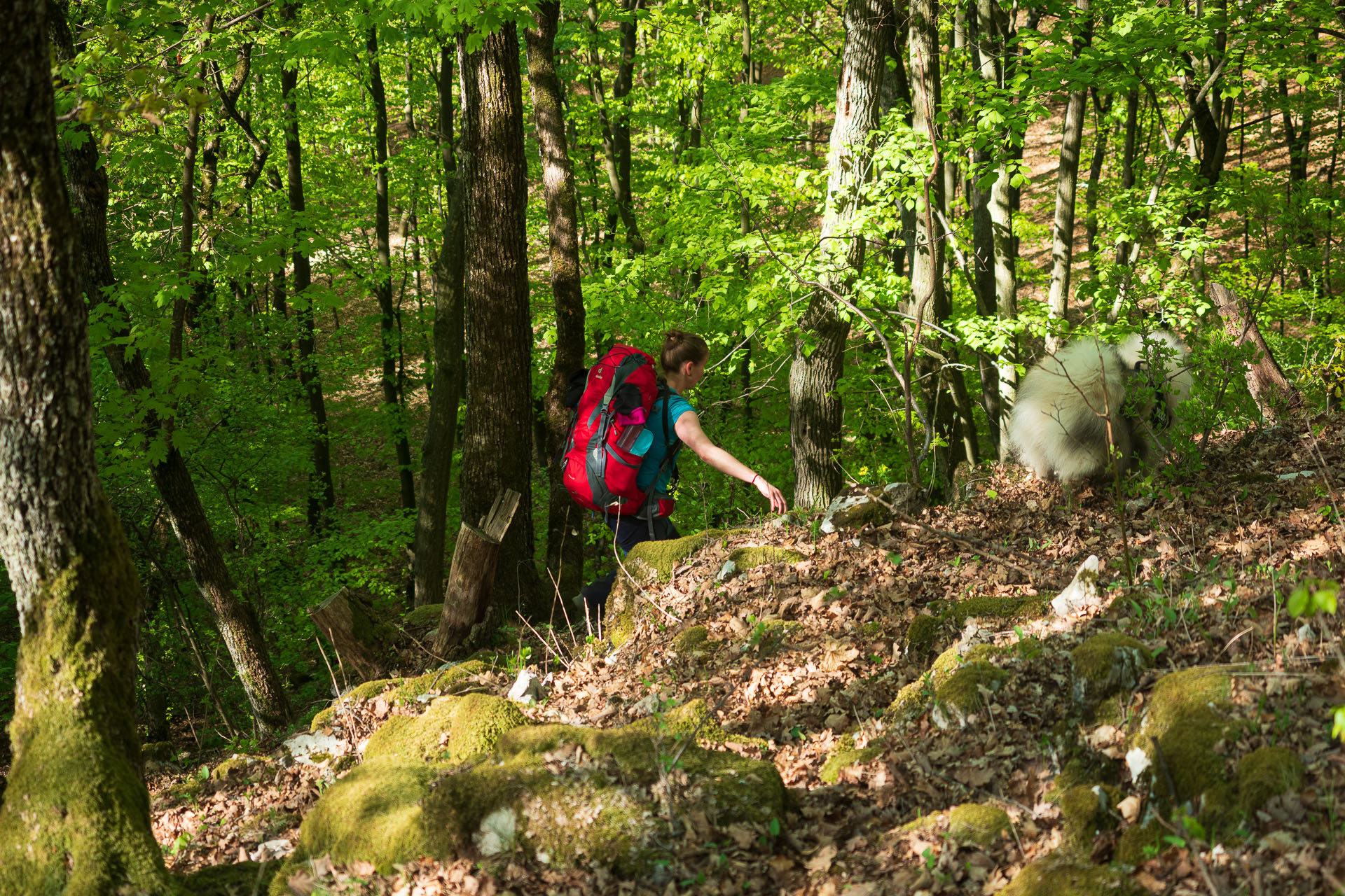 Miglinc a Ladislavova vyvieračka z Hája (Slovenský kras)