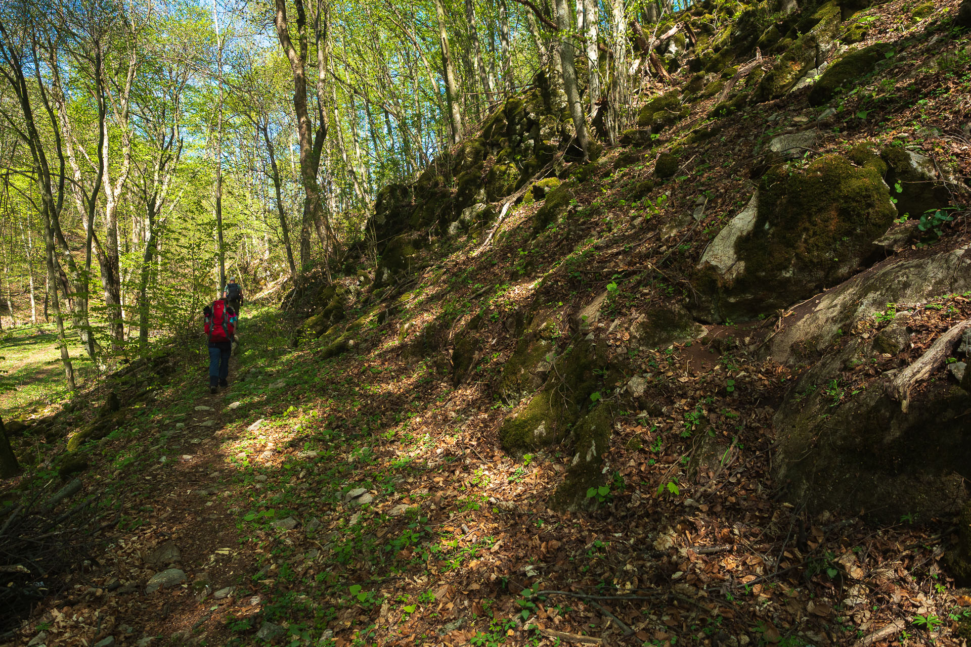 Miglinc a Ladislavova vyvieračka z Hája (Slovenský kras)