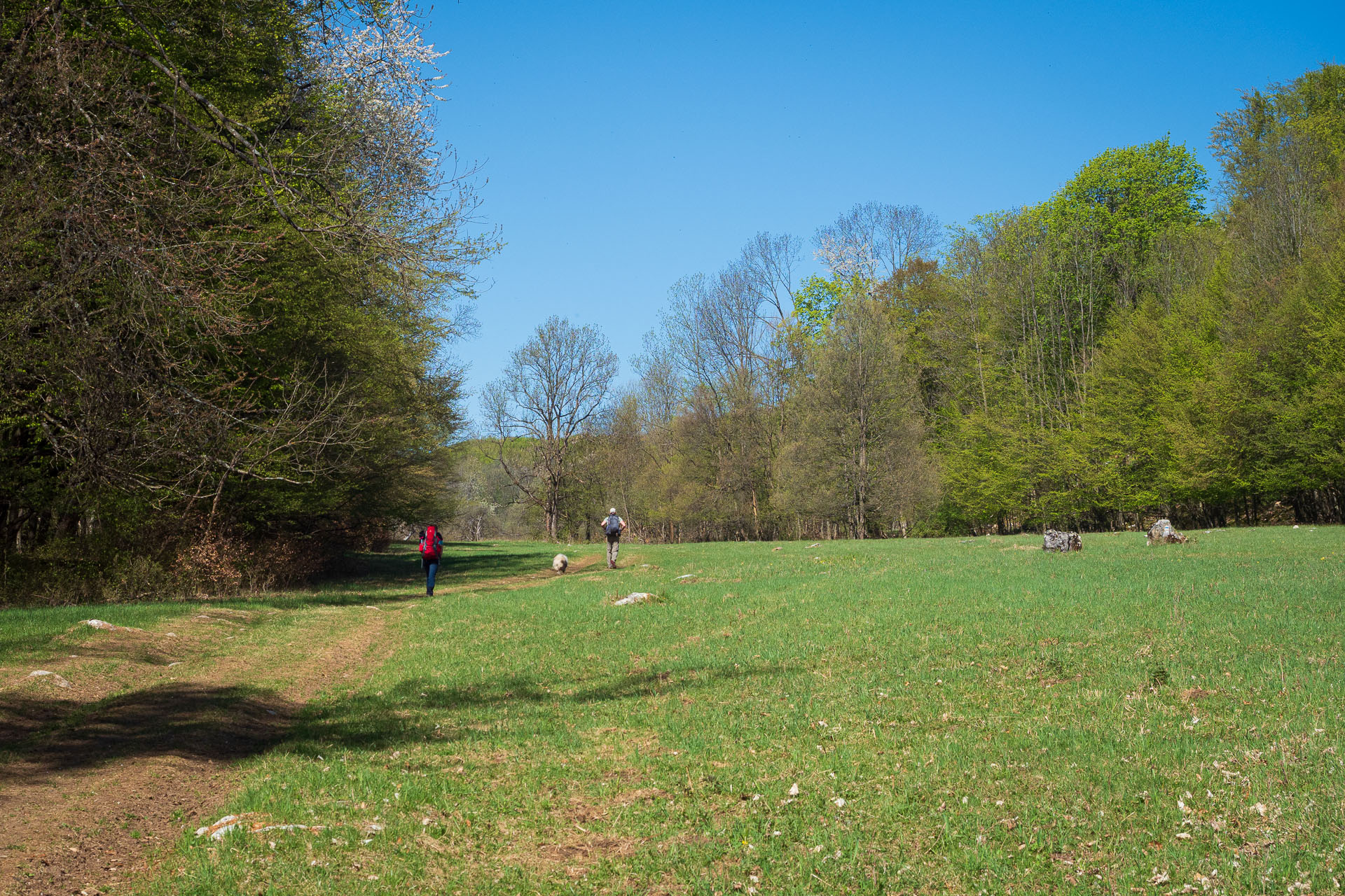 Miglinc a Ladislavova vyvieračka z Hája (Slovenský kras)