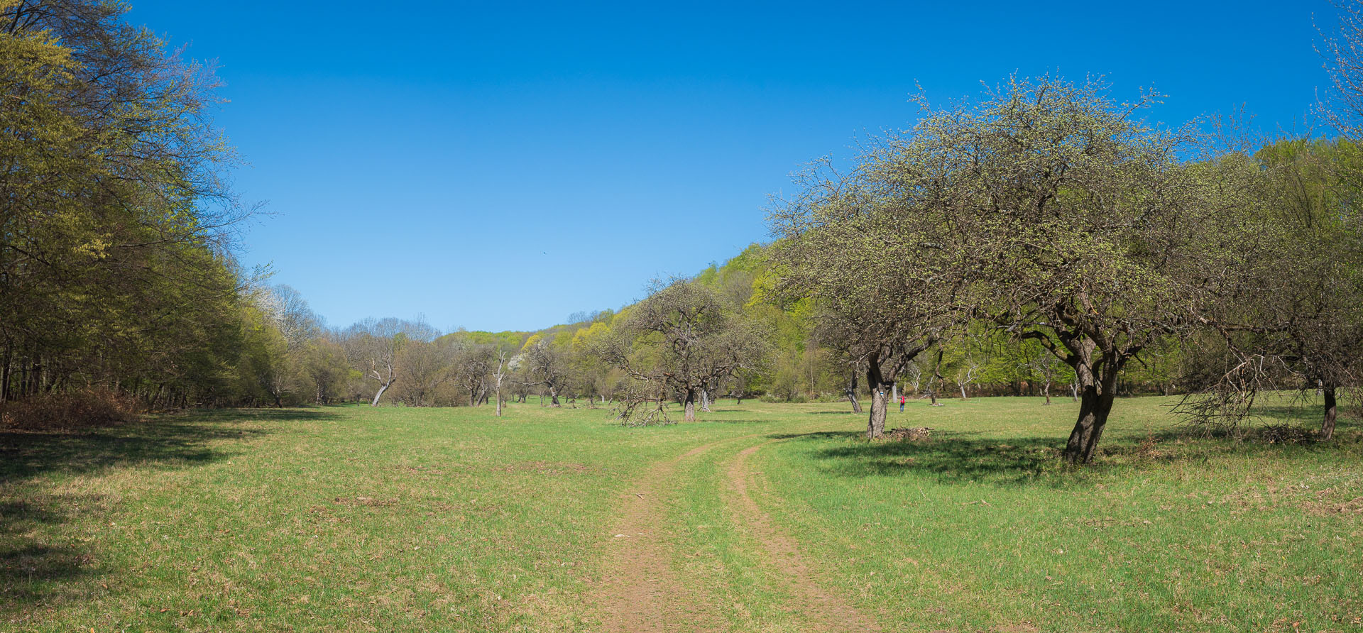 Miglinc a Ladislavova vyvieračka z Hája (Slovenský kras)