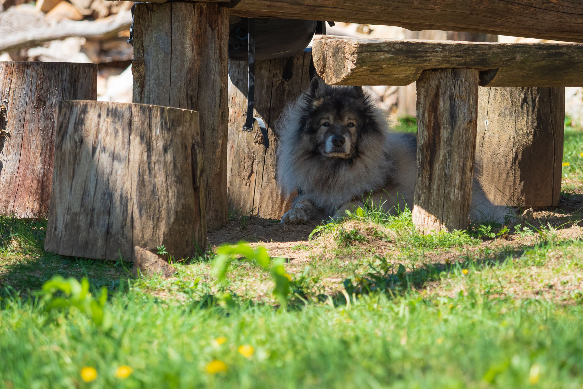 Miglinc a Ladislavova vyvieračka z Hája (Slovenský kras)