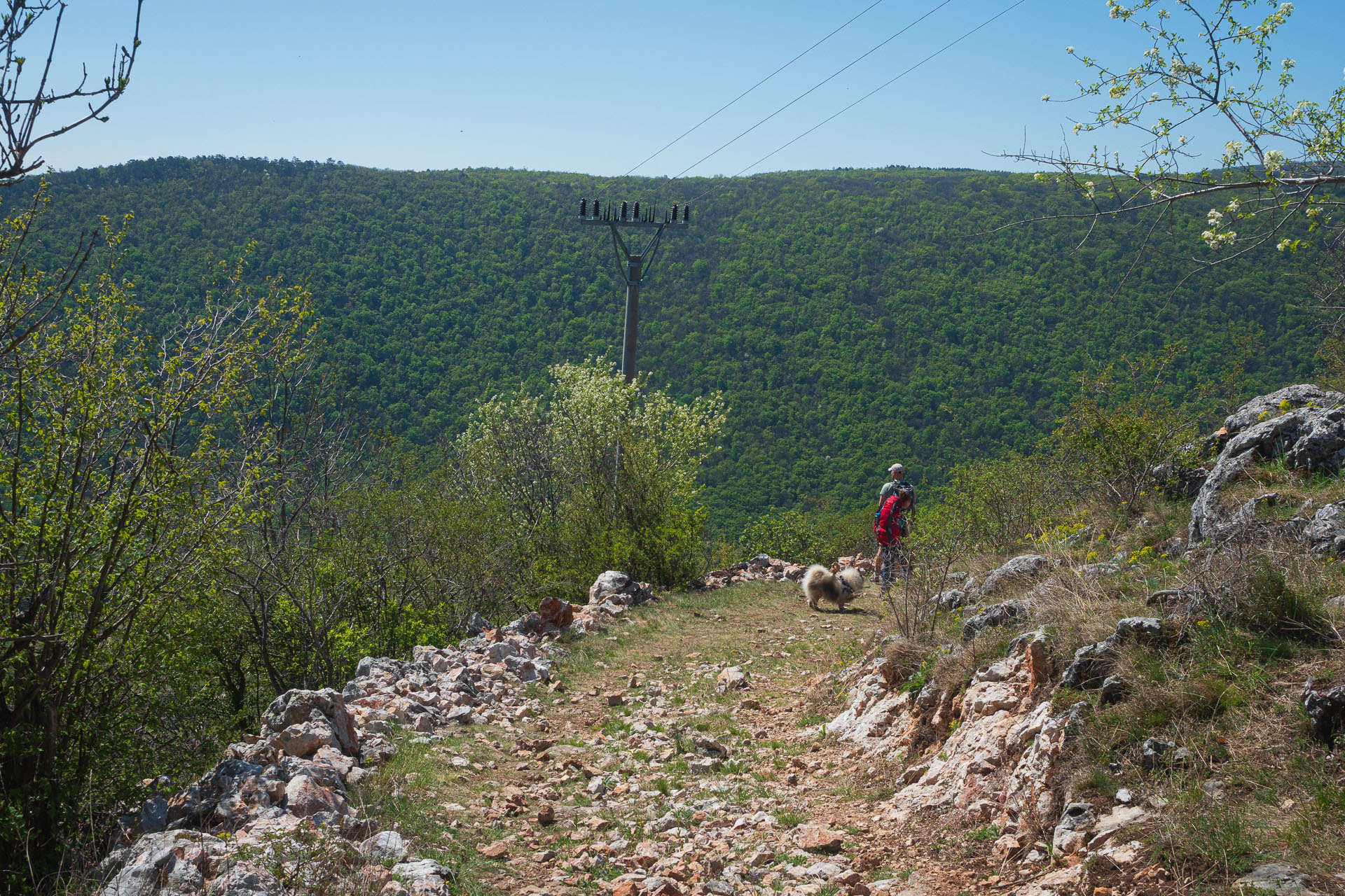 Miglinc a Ladislavova vyvieračka z Hája (Slovenský kras)