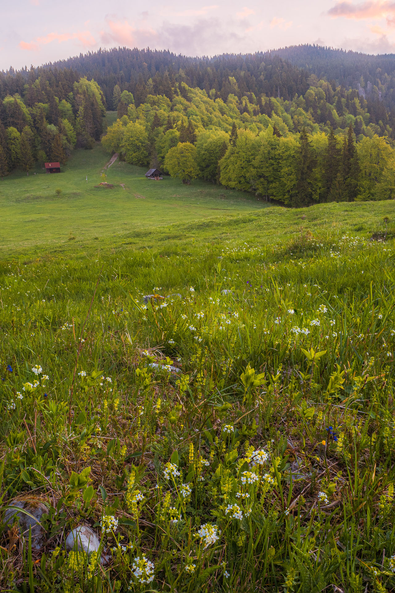 Muránsky hrad z Nižnej Kľakovej (Muránska planina)