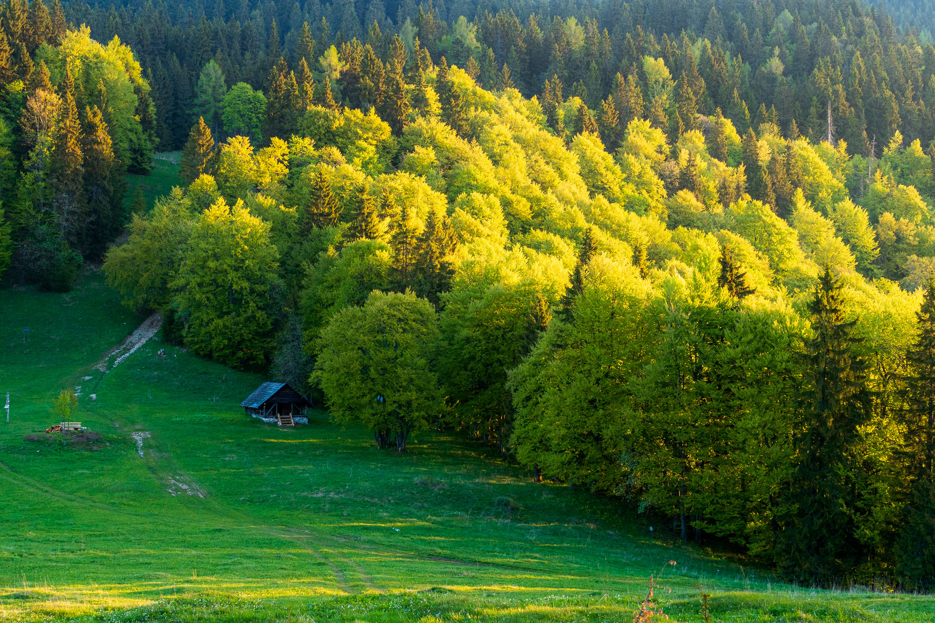 Muránsky hrad z Nižnej Kľakovej (Muránska planina)