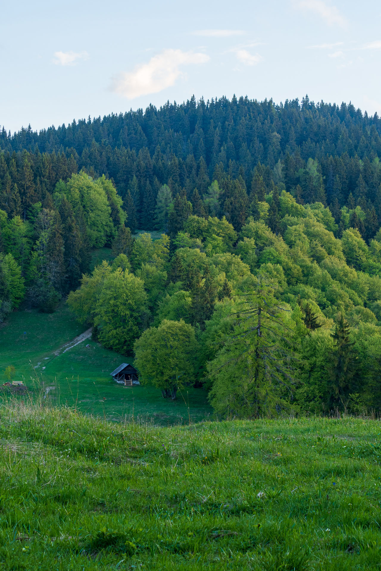 Muránsky hrad z Nižnej Kľakovej (Muránska planina)