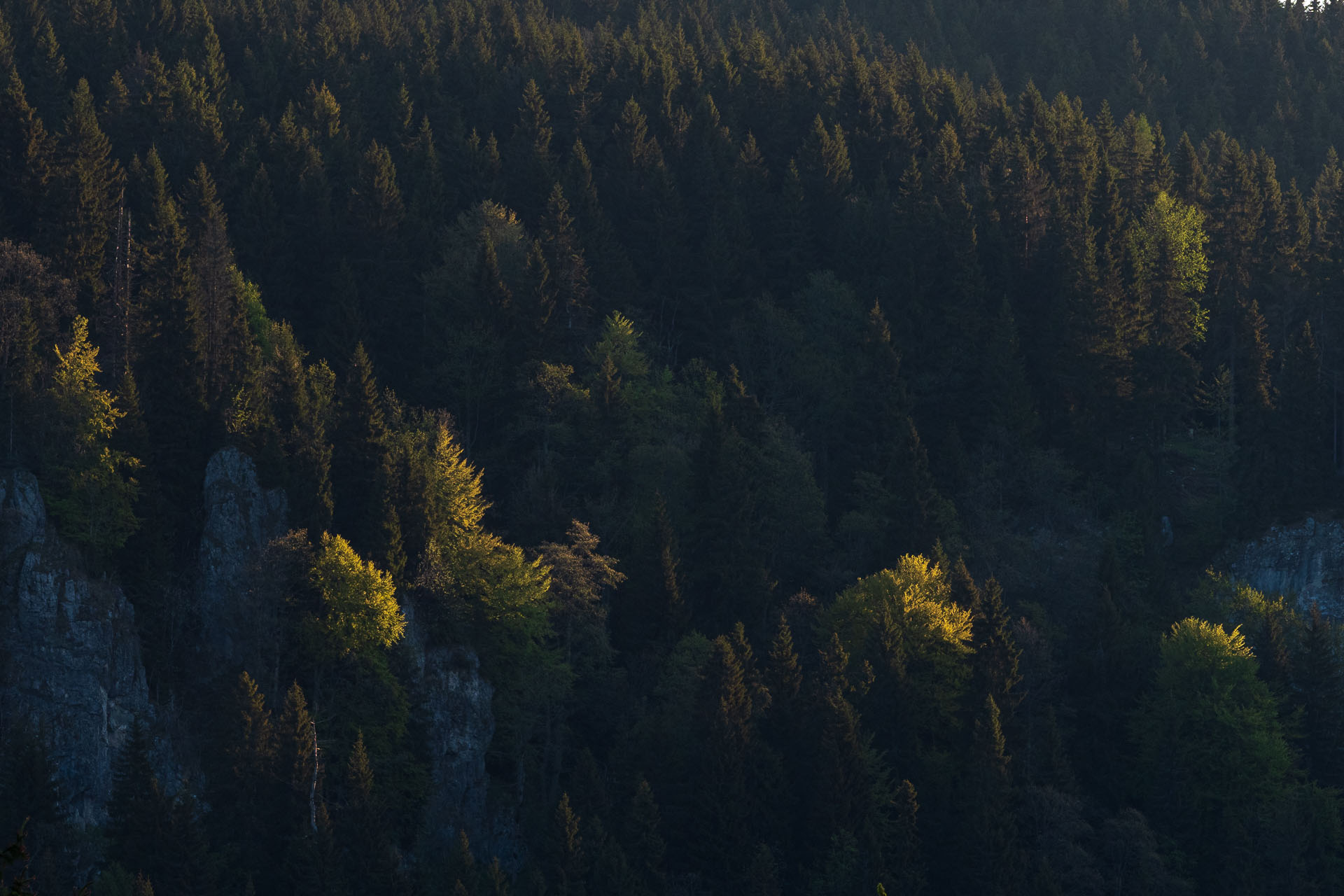 Muránsky hrad z Nižnej Kľakovej (Muránska planina)