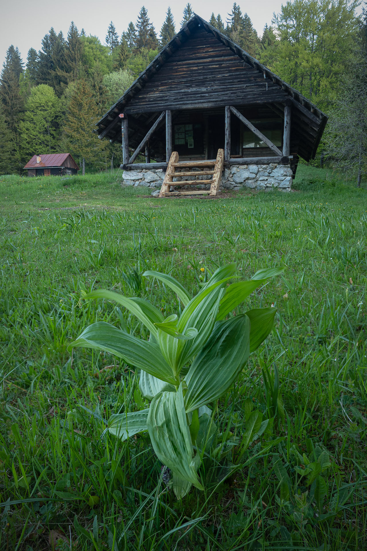 Muránsky hrad z Nižnej Kľakovej (Muránska planina)