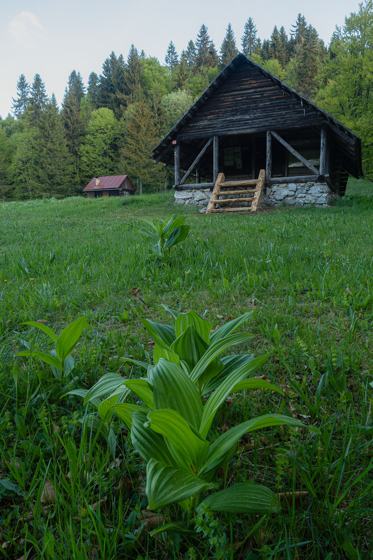 Muránsky hrad z Nižnej Kľakovej (Muránska planina)