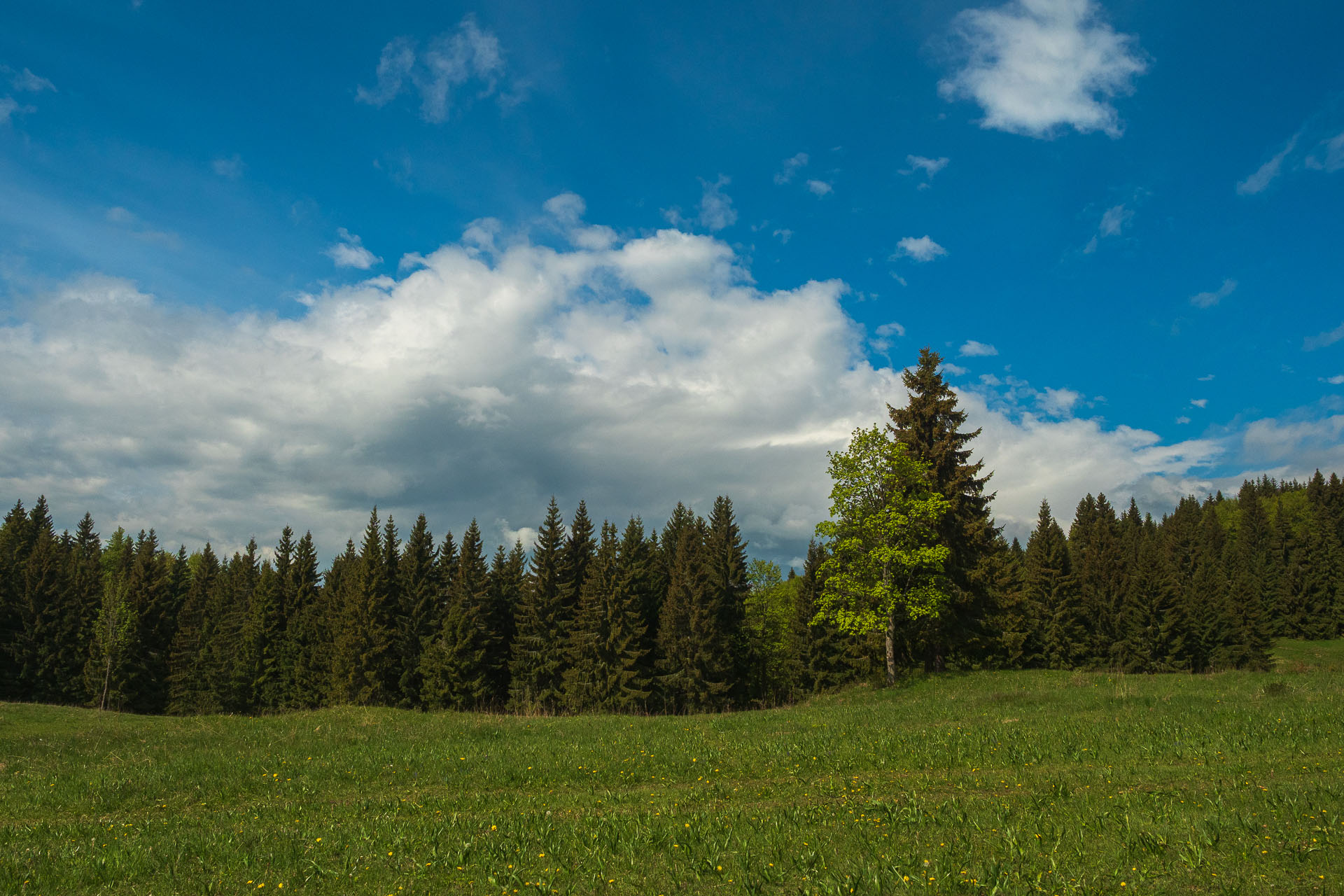 Muránsky hrad z Nižnej Kľakovej (Muránska planina)