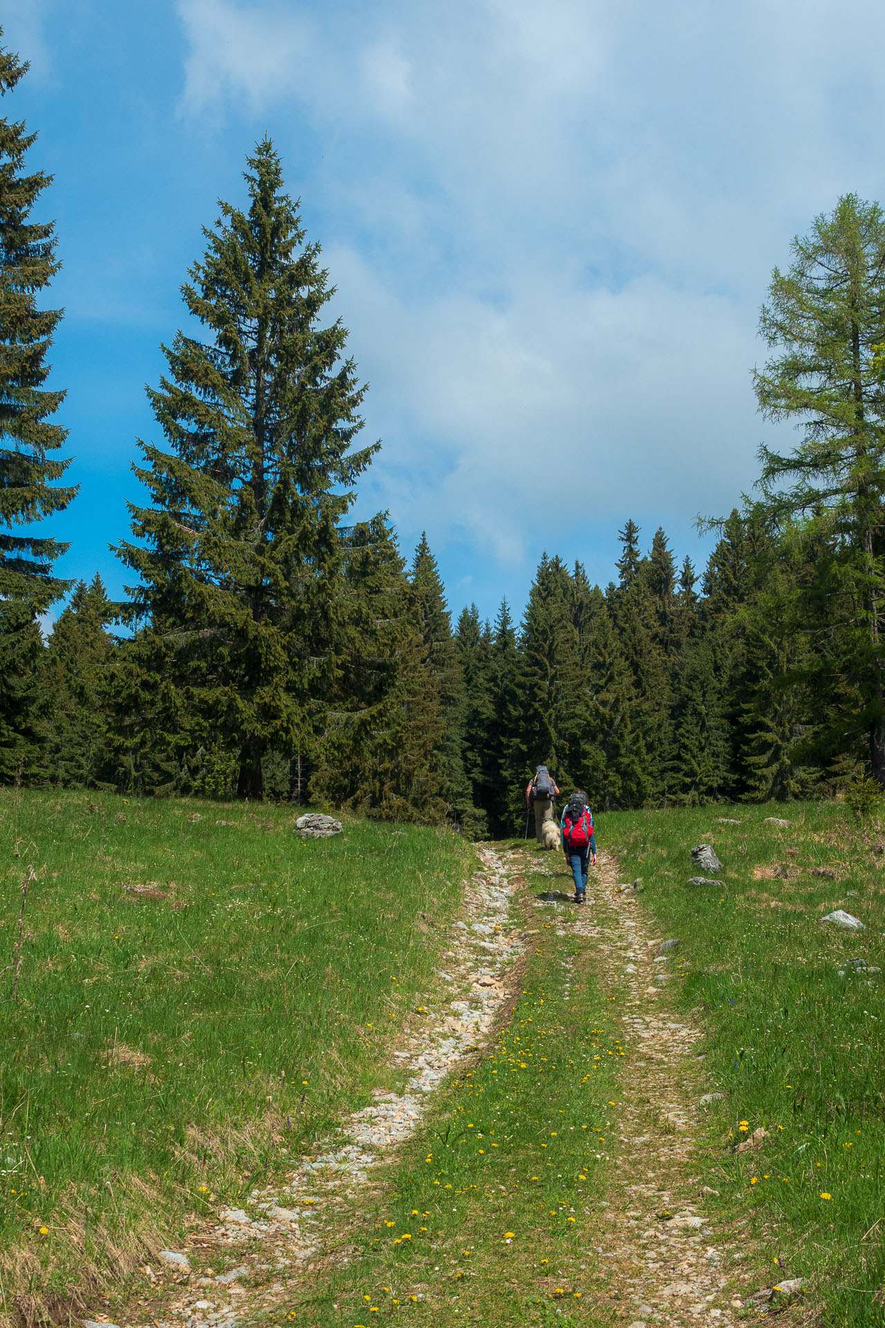 Muránsky hrad z Nižnej Kľakovej (Muránska planina)