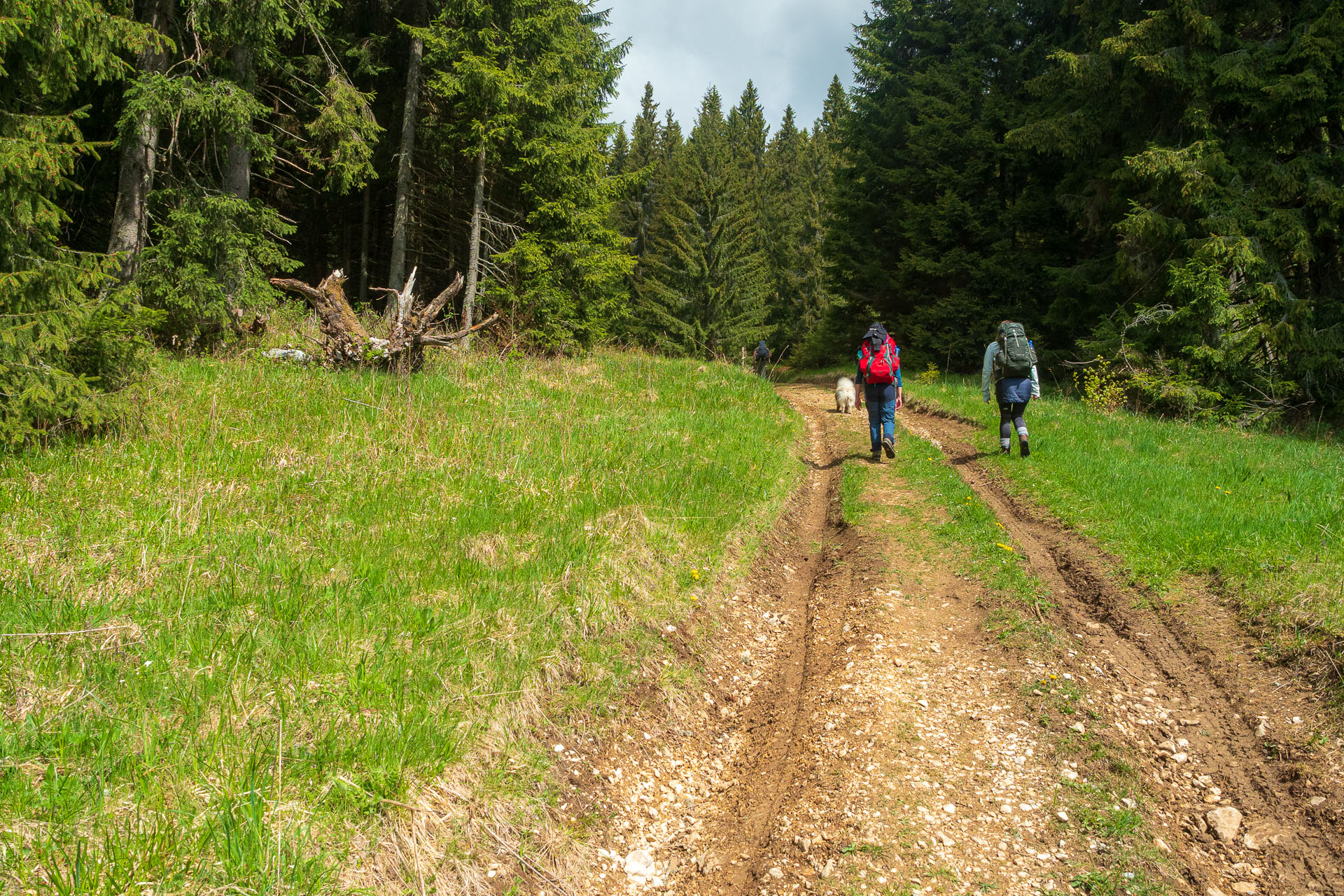 Muránsky hrad z Nižnej Kľakovej (Muránska planina)