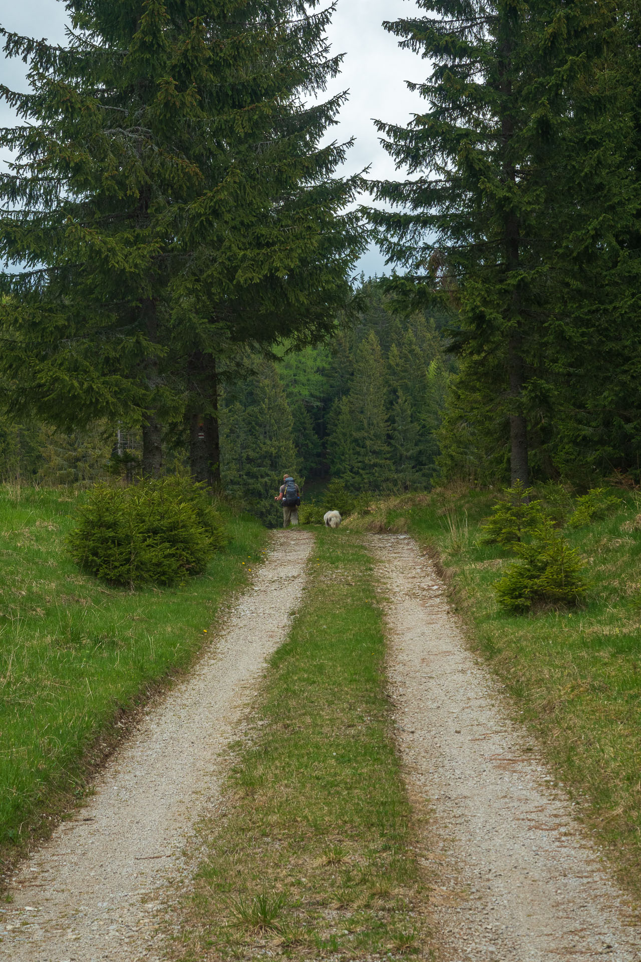 Muránsky hrad z Nižnej Kľakovej (Muránska planina)