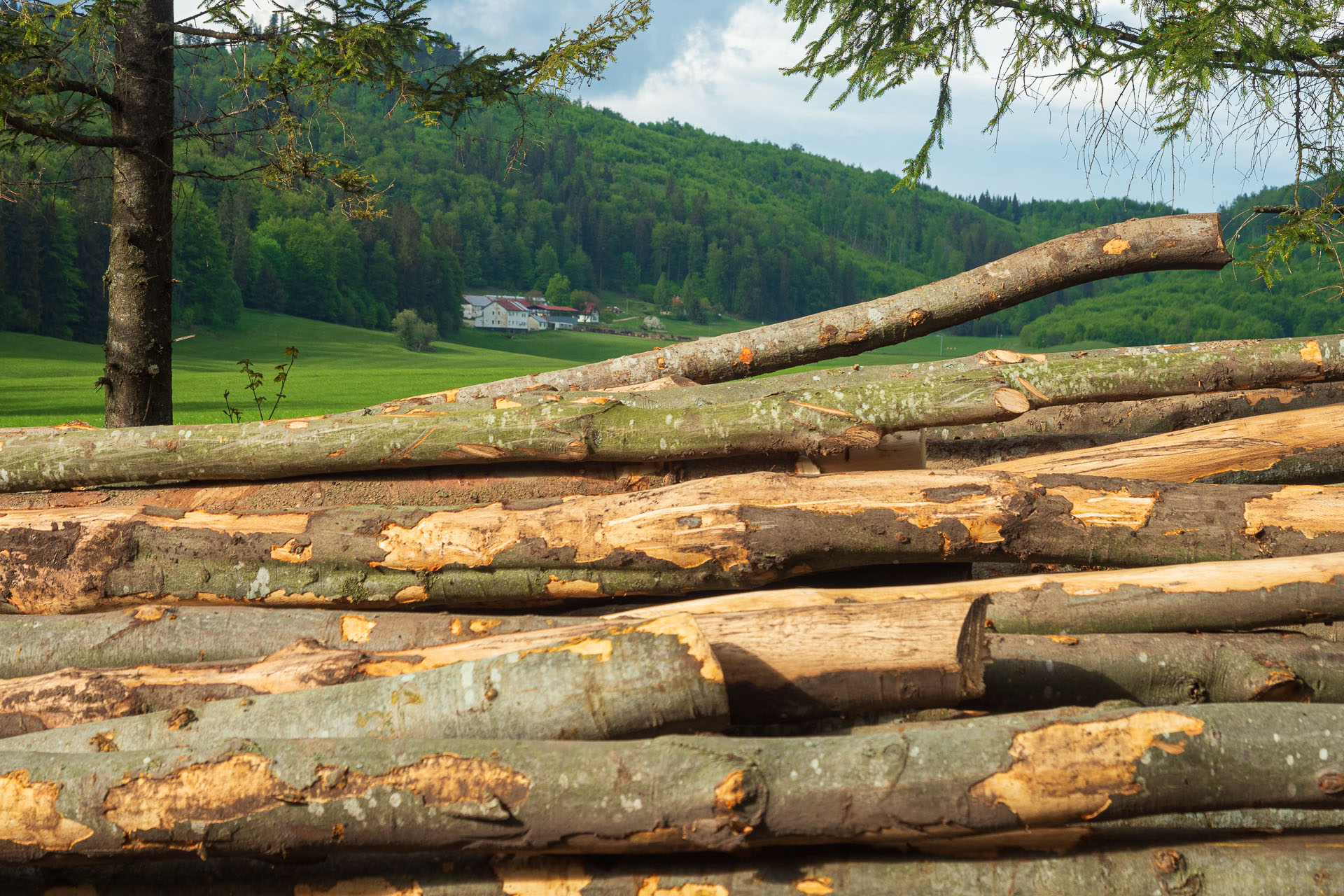 Muránsky hrad z Nižnej Kľakovej (Muránska planina)