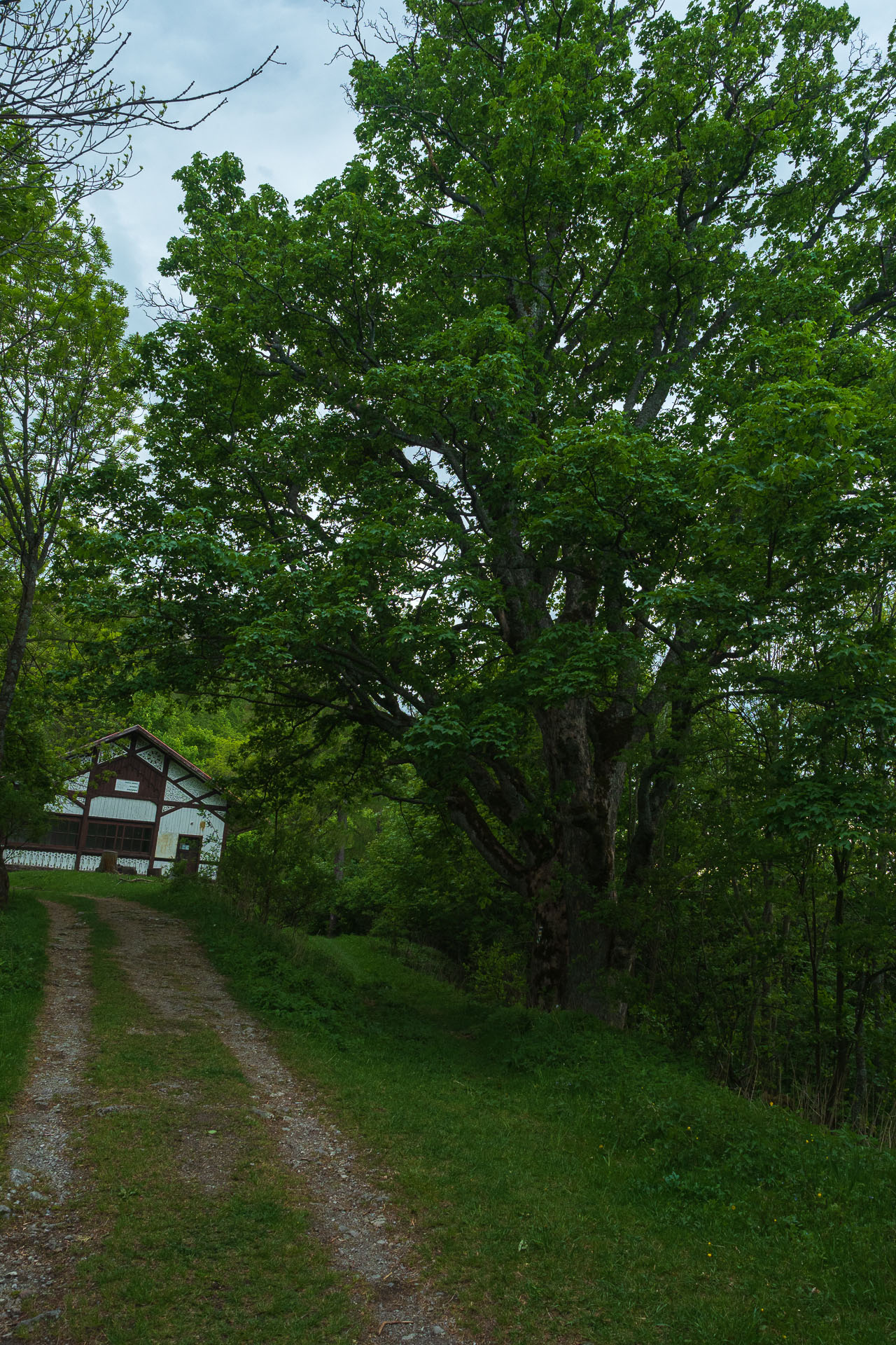 Muránsky hrad z Nižnej Kľakovej (Muránska planina)