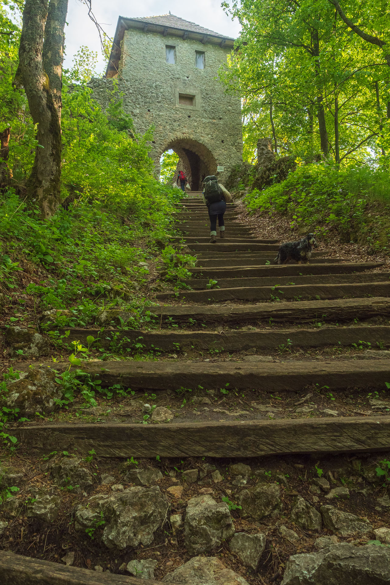 Muránsky hrad z Nižnej Kľakovej (Muránska planina)