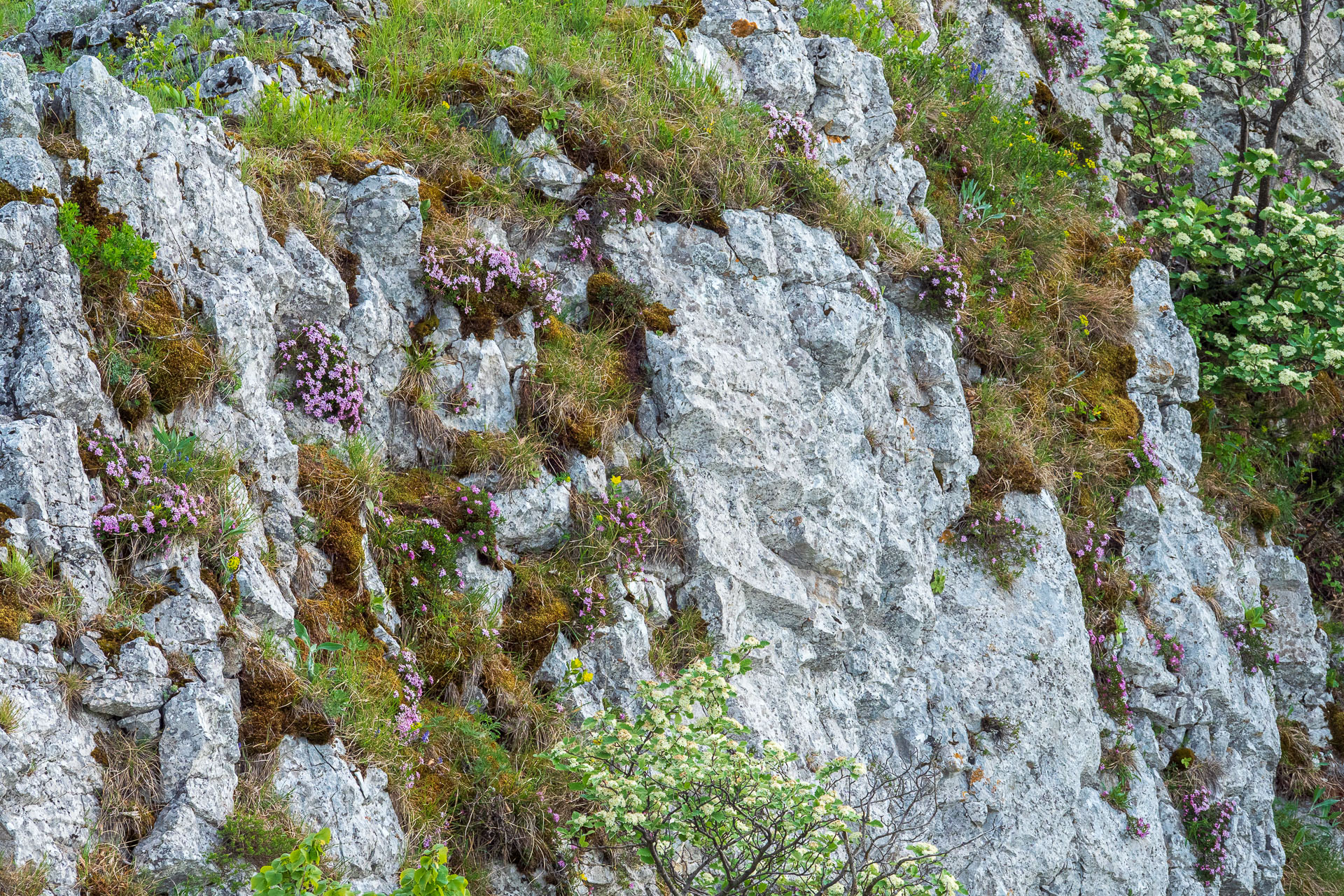 Muránsky hrad z Nižnej Kľakovej (Muránska planina)