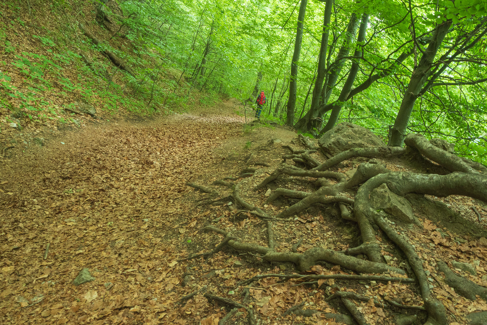 Muránsky hrad z Nižnej Kľakovej (Muránska planina)