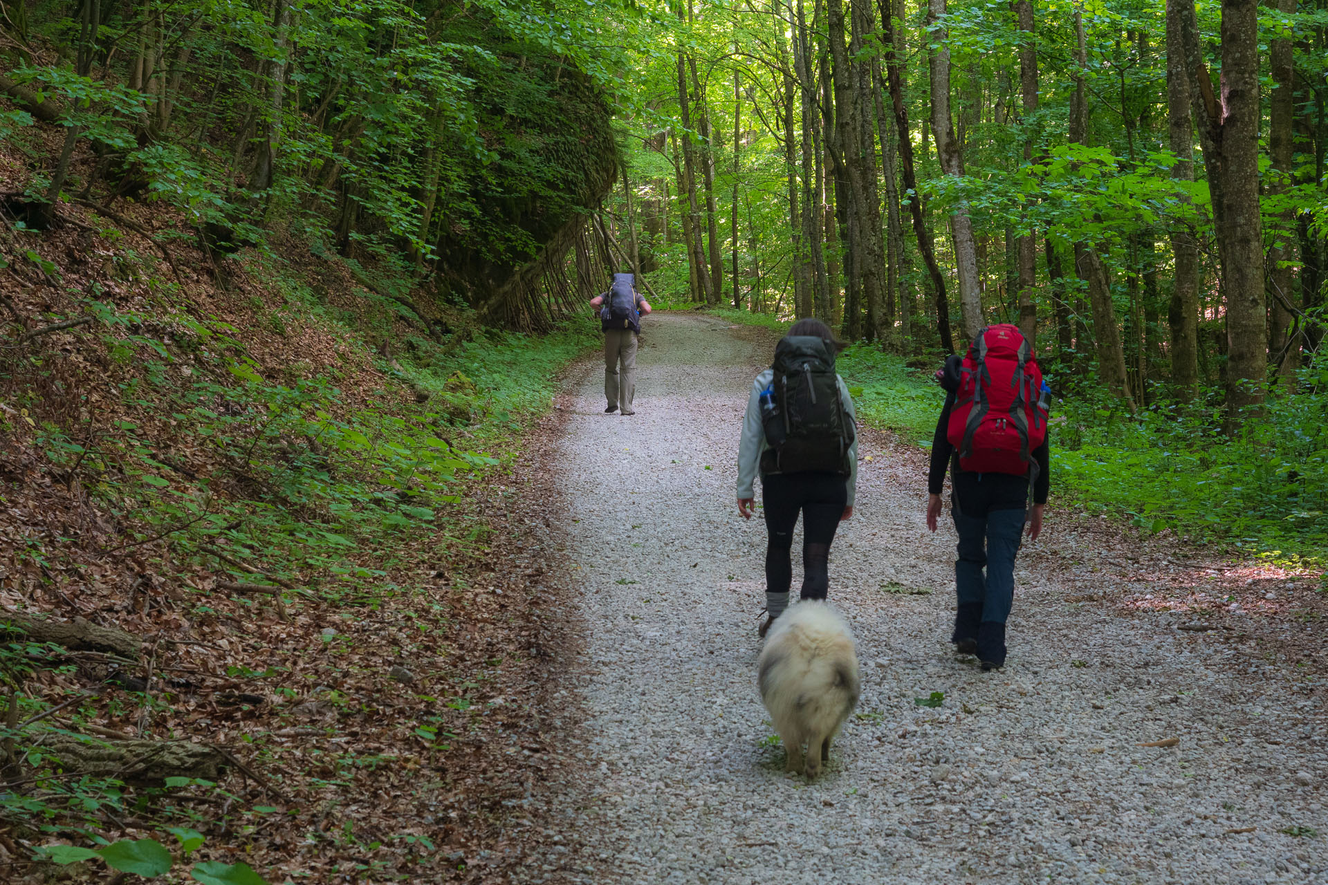 Nižná Kľaková z Muráňa (Muránska planina)