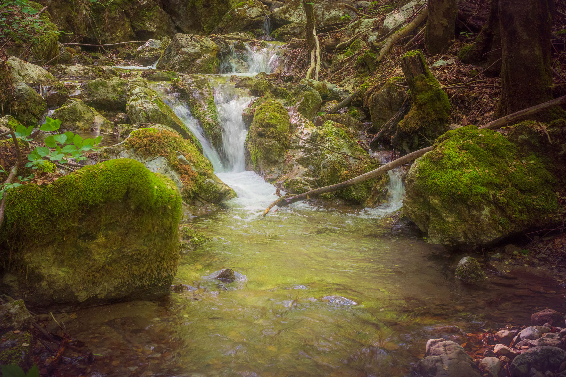 Nižná Kľaková z Muráňa (Muránska planina)