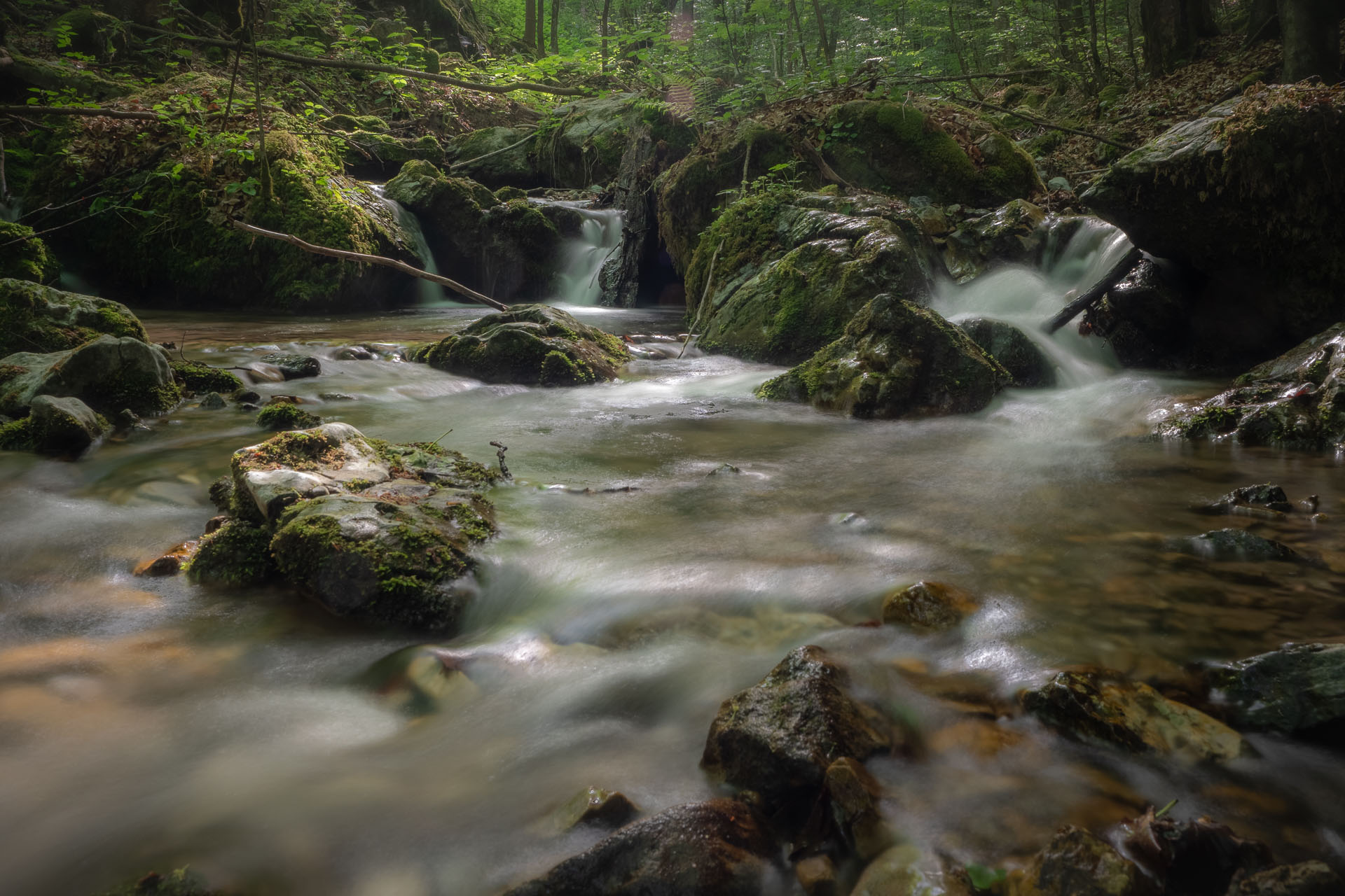 Nižná Kľaková z Muráňa (Muránska planina)