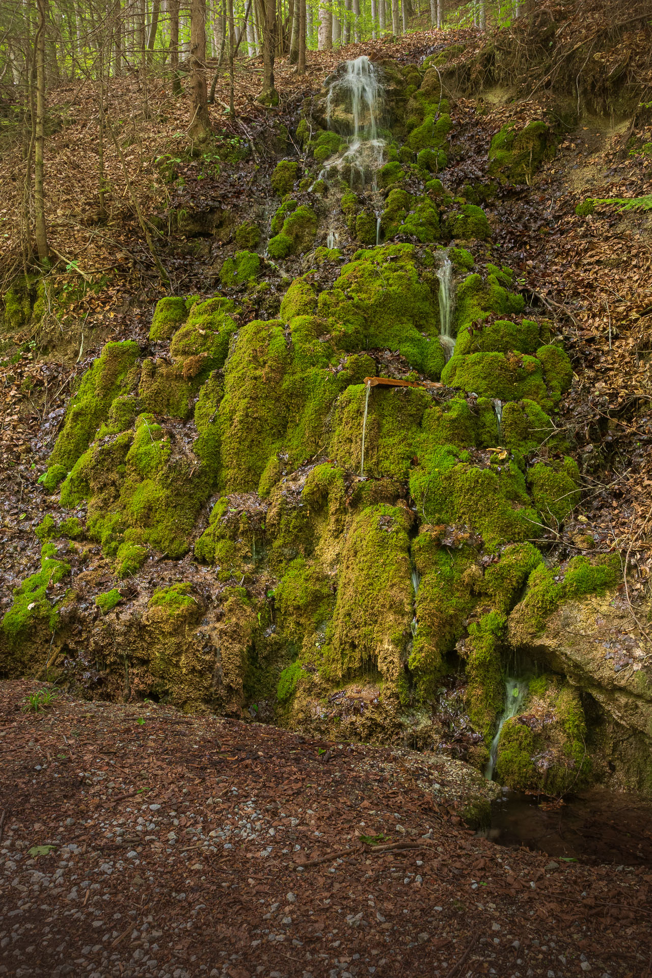 Nižná Kľaková z Muráňa (Muránska planina)