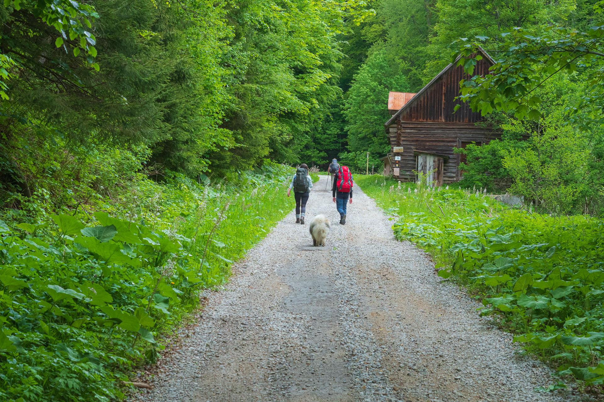 Nižná Kľaková z Muráňa (Muránska planina)