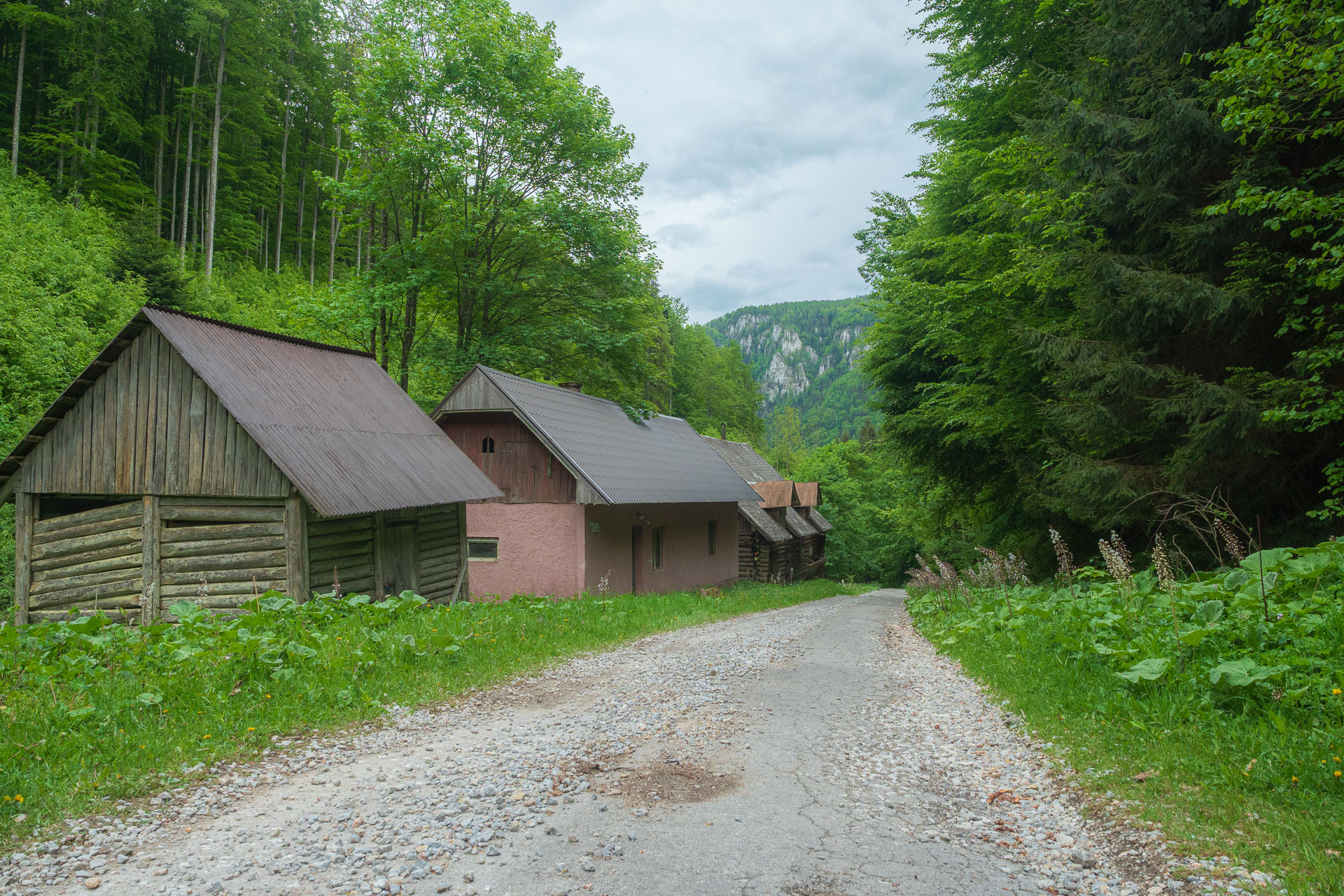 Nižná Kľaková z Muráňa (Muránska planina)