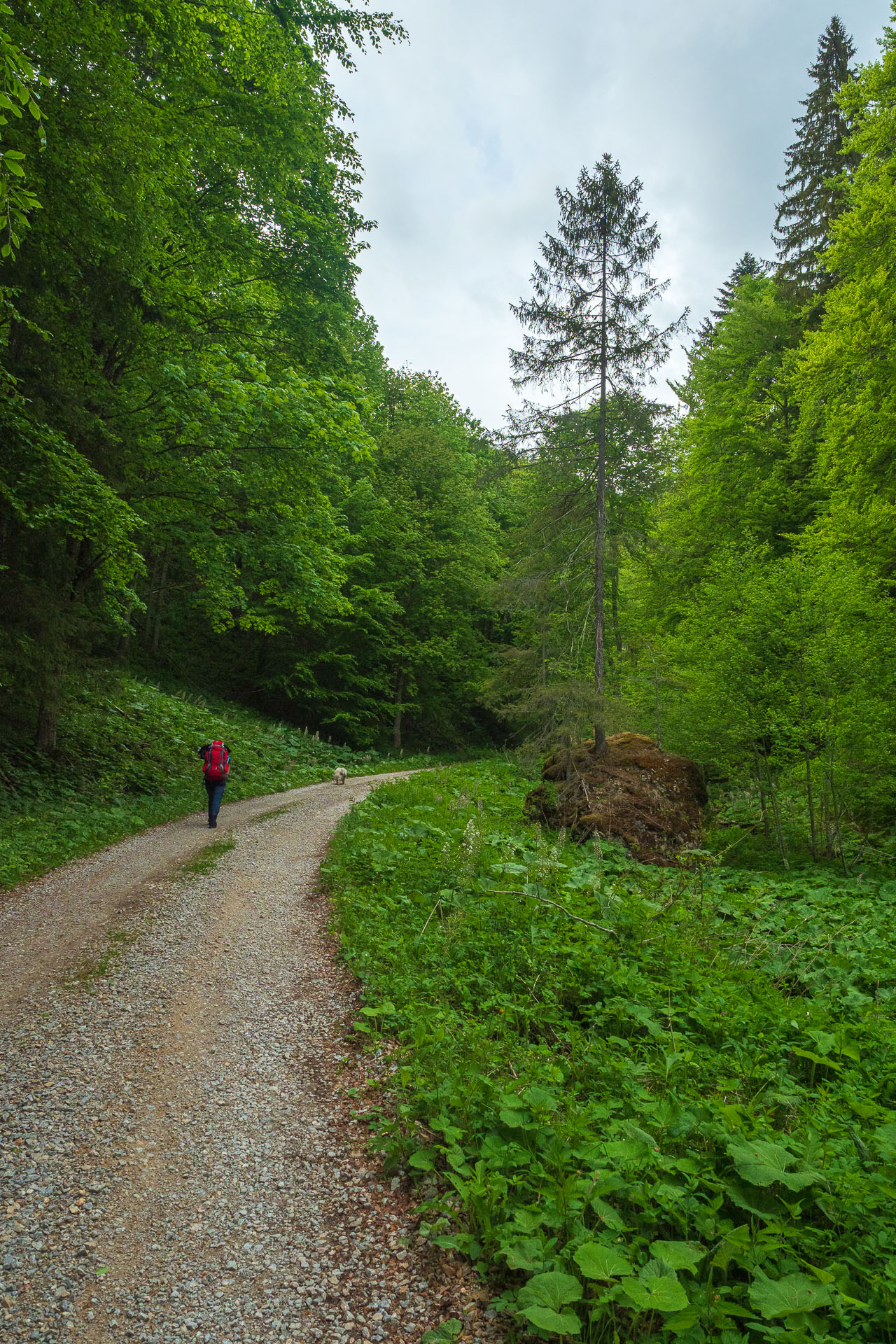 Nižná Kľaková z Muráňa (Muránska planina)