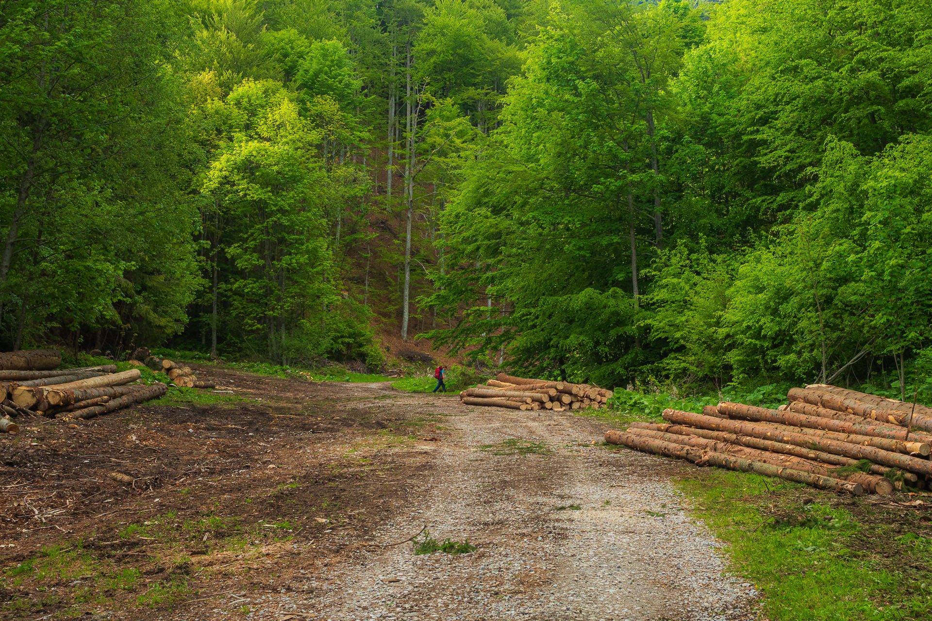 Nižná Kľaková z Muráňa (Muránska planina)