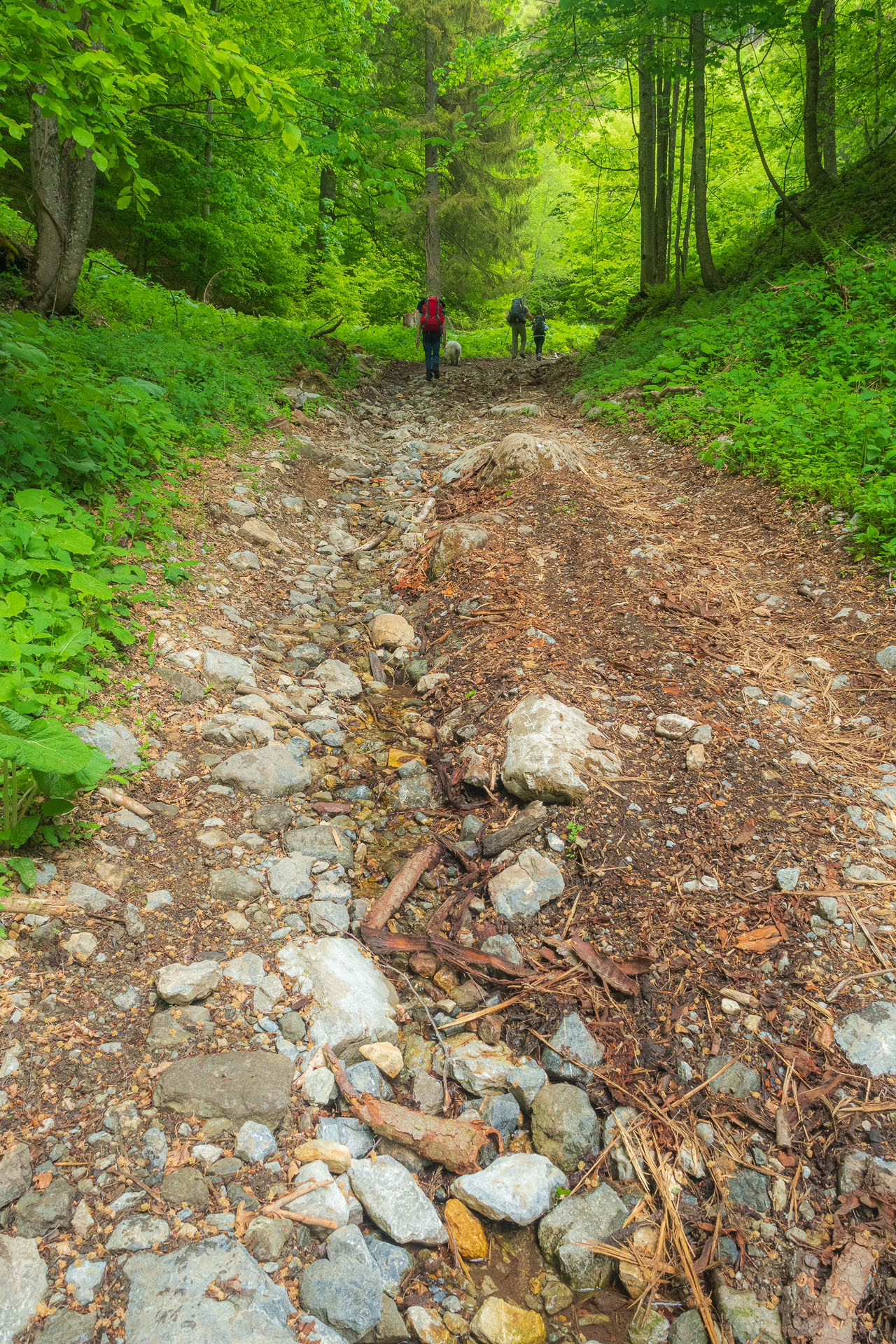 Nižná Kľaková z Muráňa (Muránska planina)