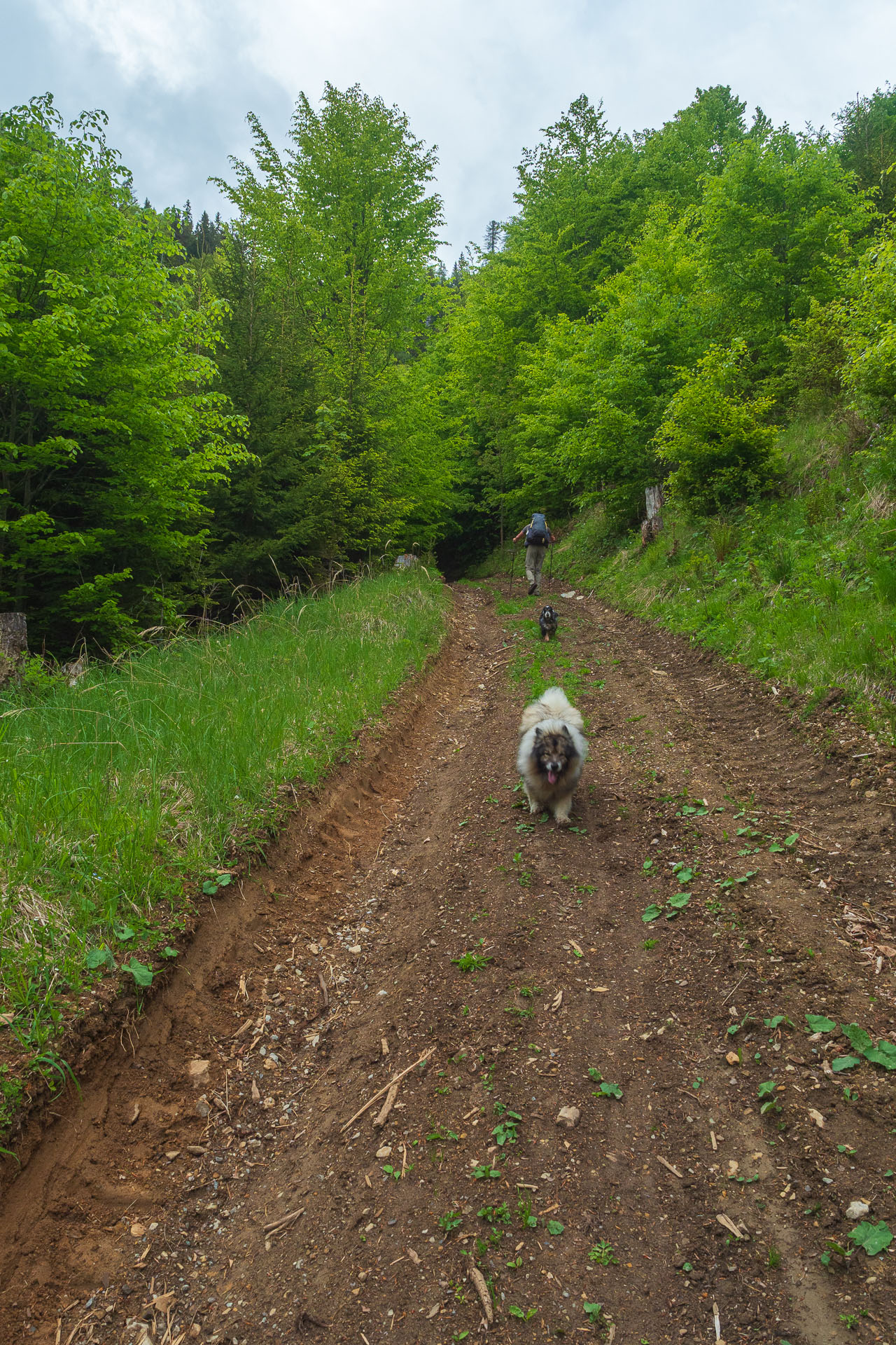 Nižná Kľaková z Muráňa (Muránska planina)