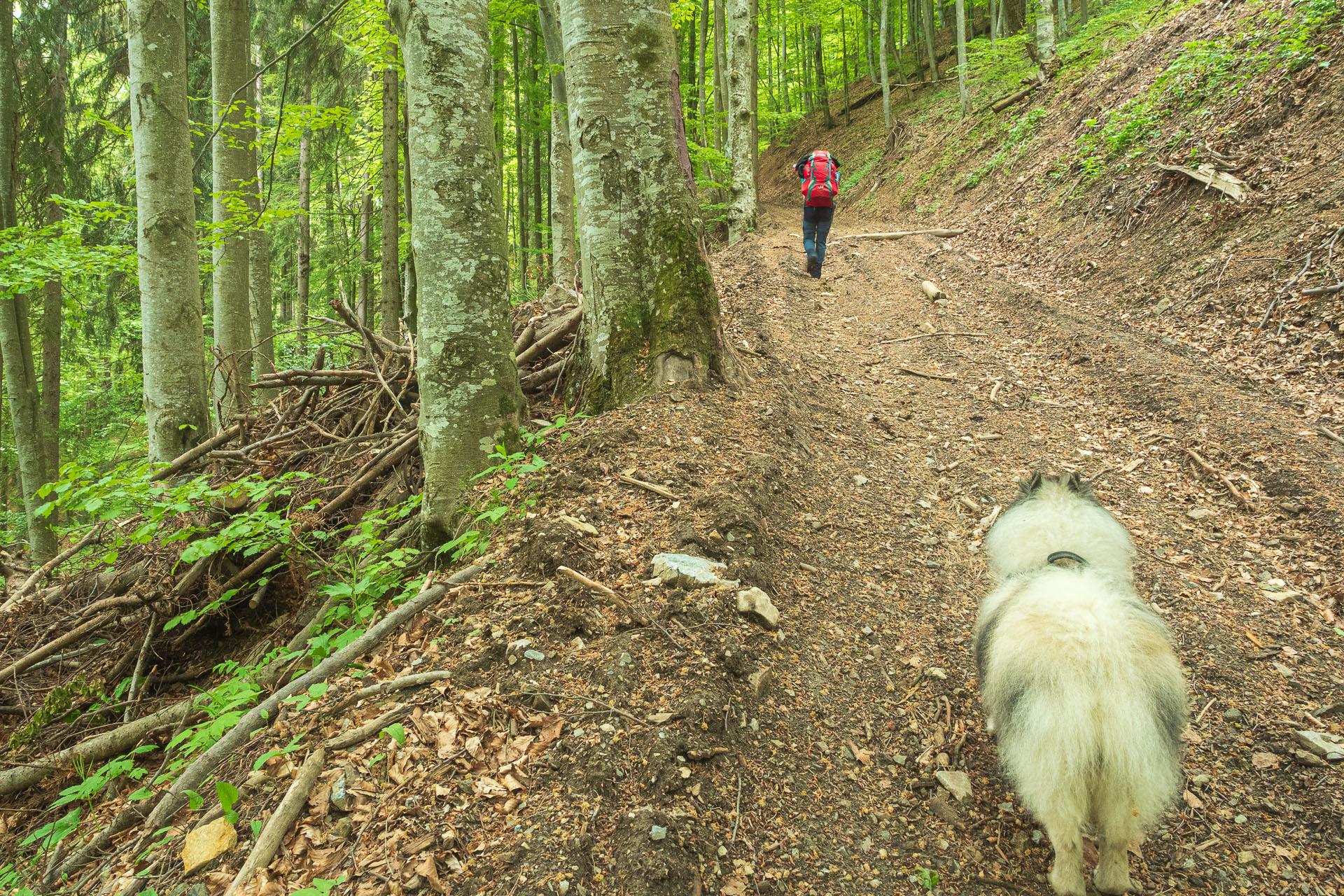 Nižná Kľaková z Muráňa (Muránska planina)