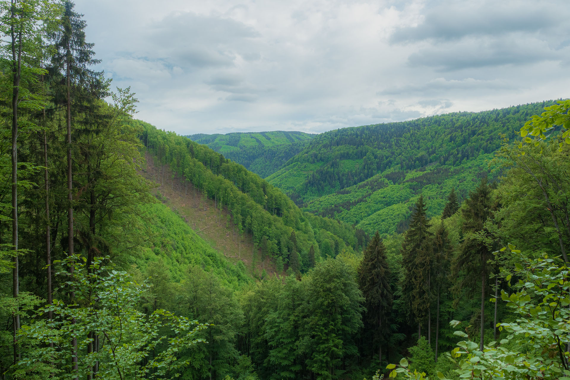 Nižná Kľaková z Muráňa (Muránska planina)