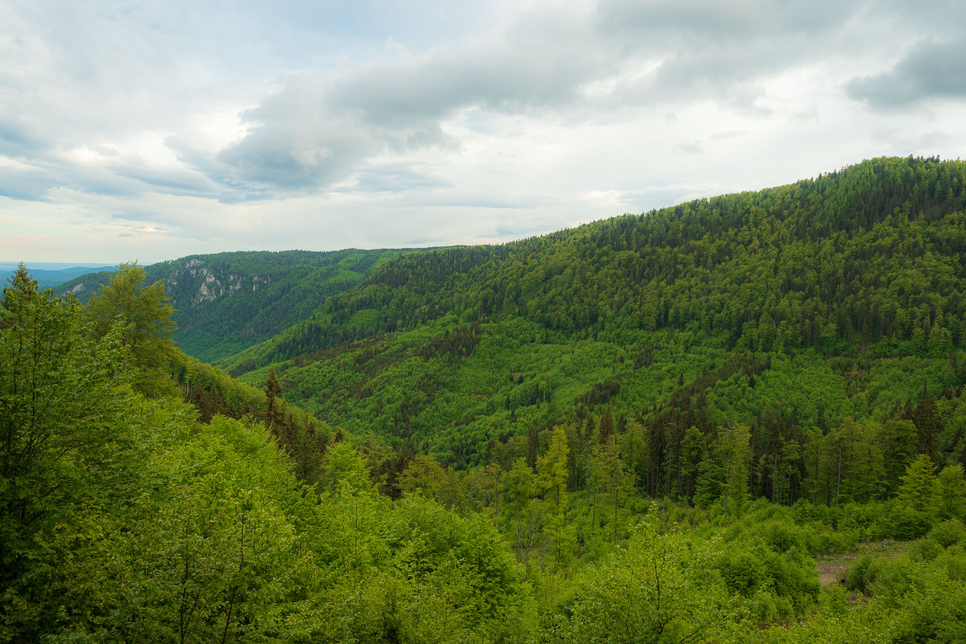 Nižná Kľaková z Muráňa (Muránska planina)