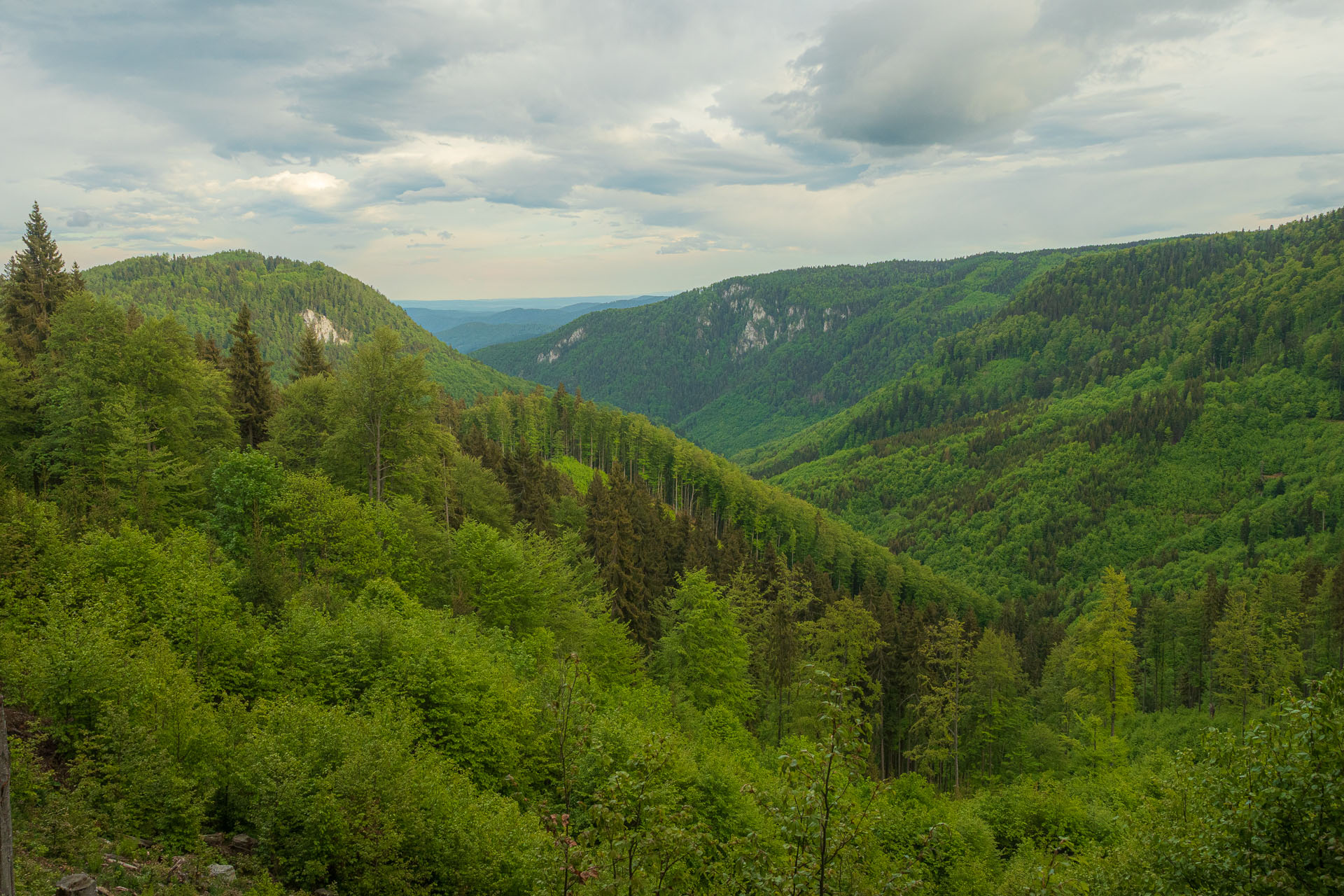 Nižná Kľaková z Muráňa (Muránska planina)