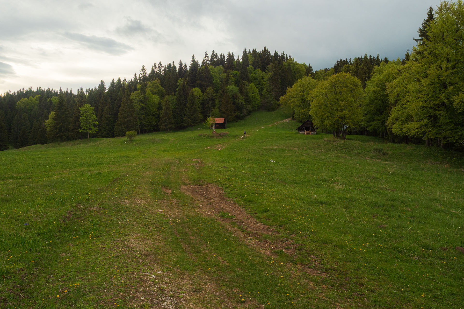 Nižná Kľaková z Muráňa (Muránska planina)