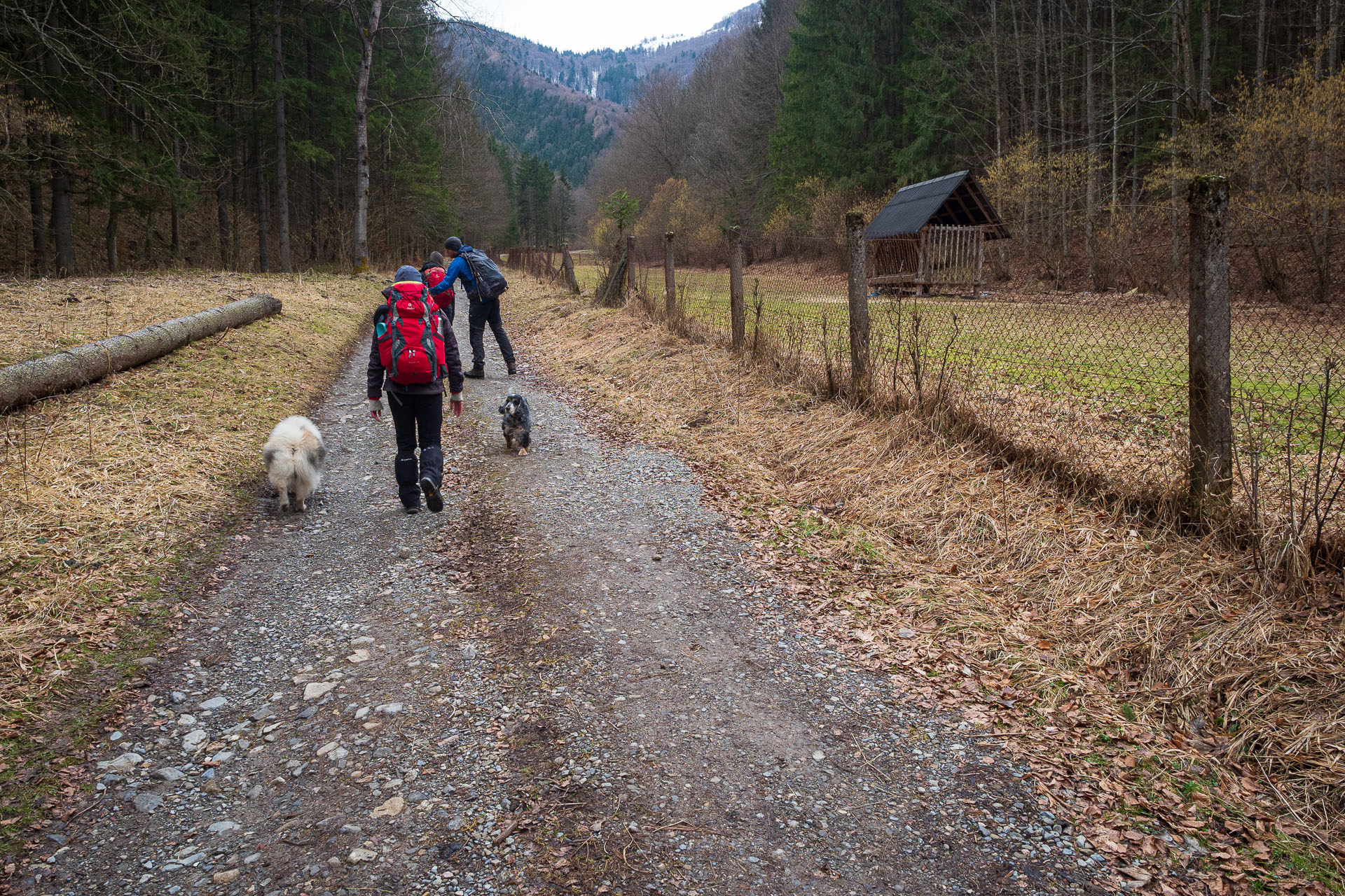 Osnica z Lučivnej (Malá Fatra)