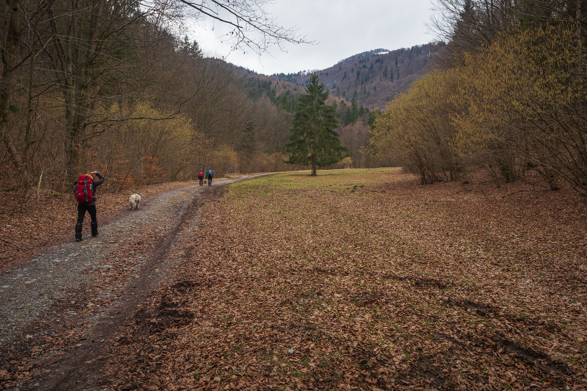 Osnica z Lučivnej (Malá Fatra)