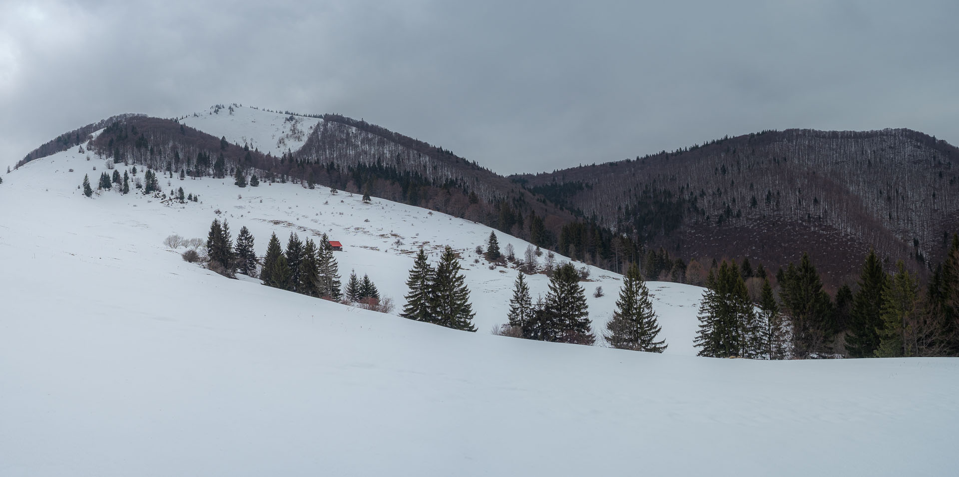 Osnica z Lučivnej (Malá Fatra)