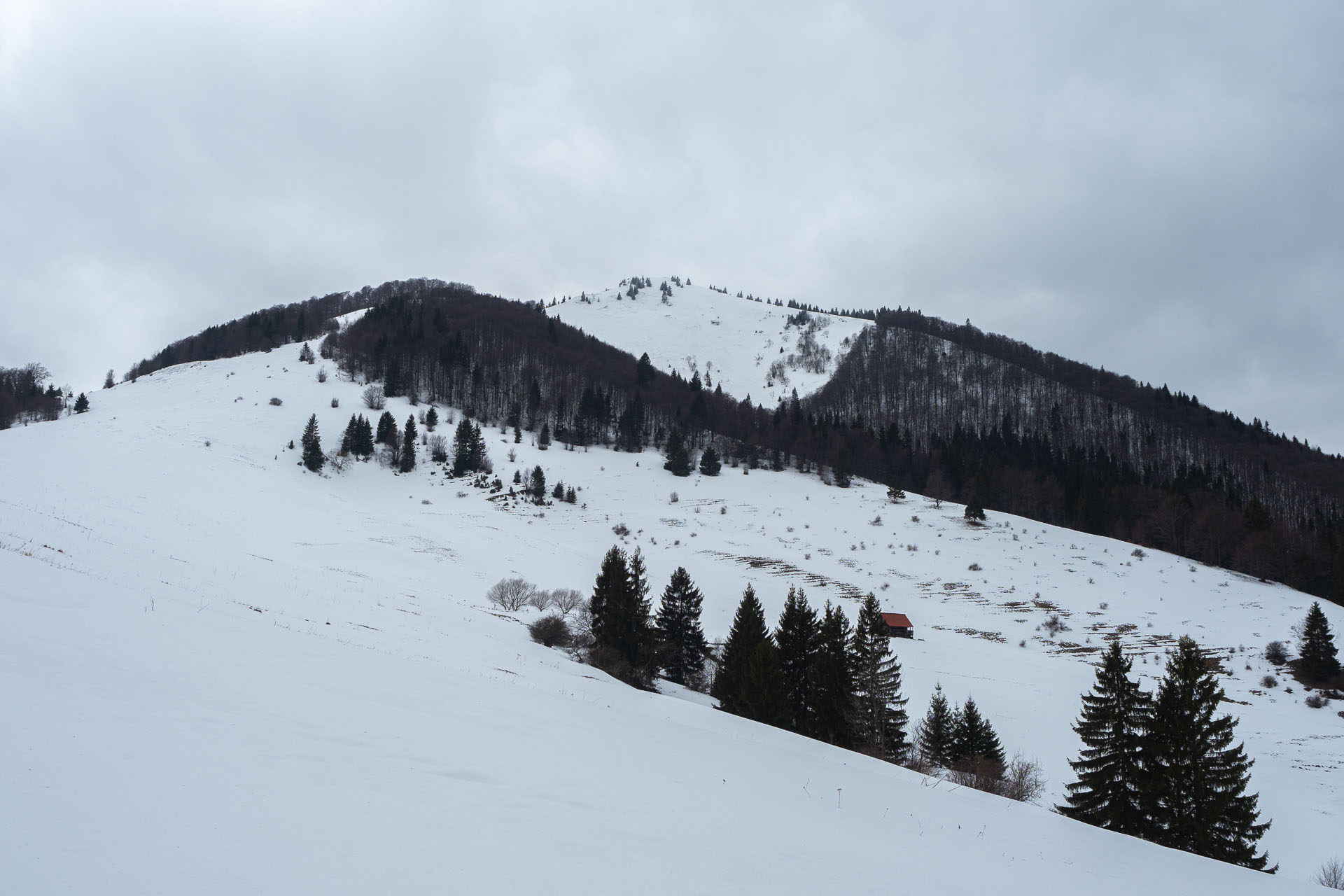 Osnica z Lučivnej (Malá Fatra)