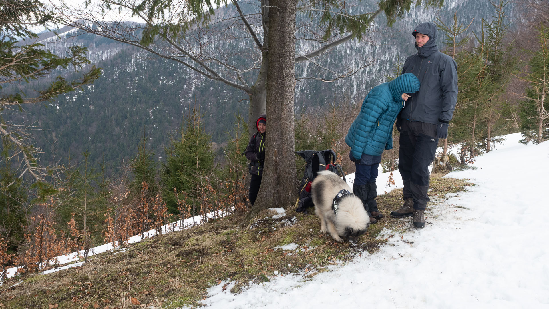 Osnica z Lučivnej (Malá Fatra)