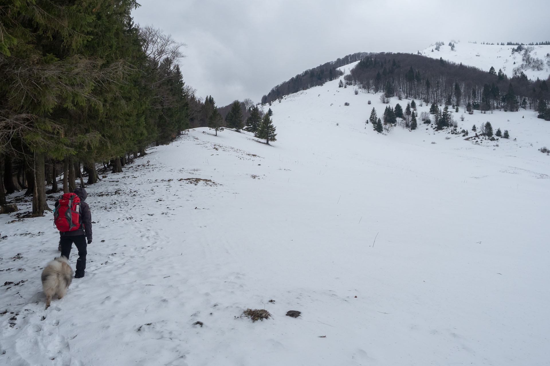 Osnica z Lučivnej (Malá Fatra)