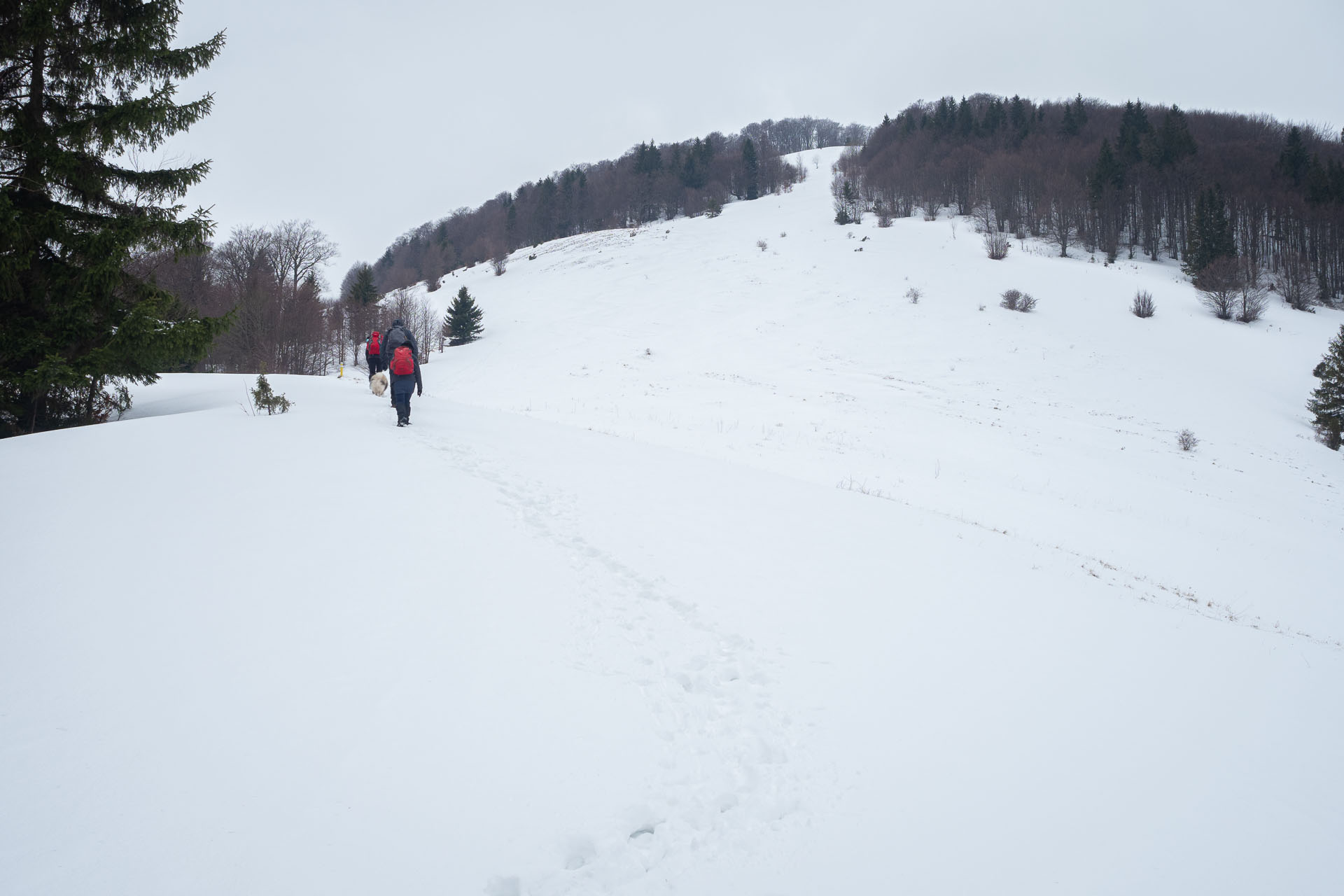 Osnica z Lučivnej (Malá Fatra)