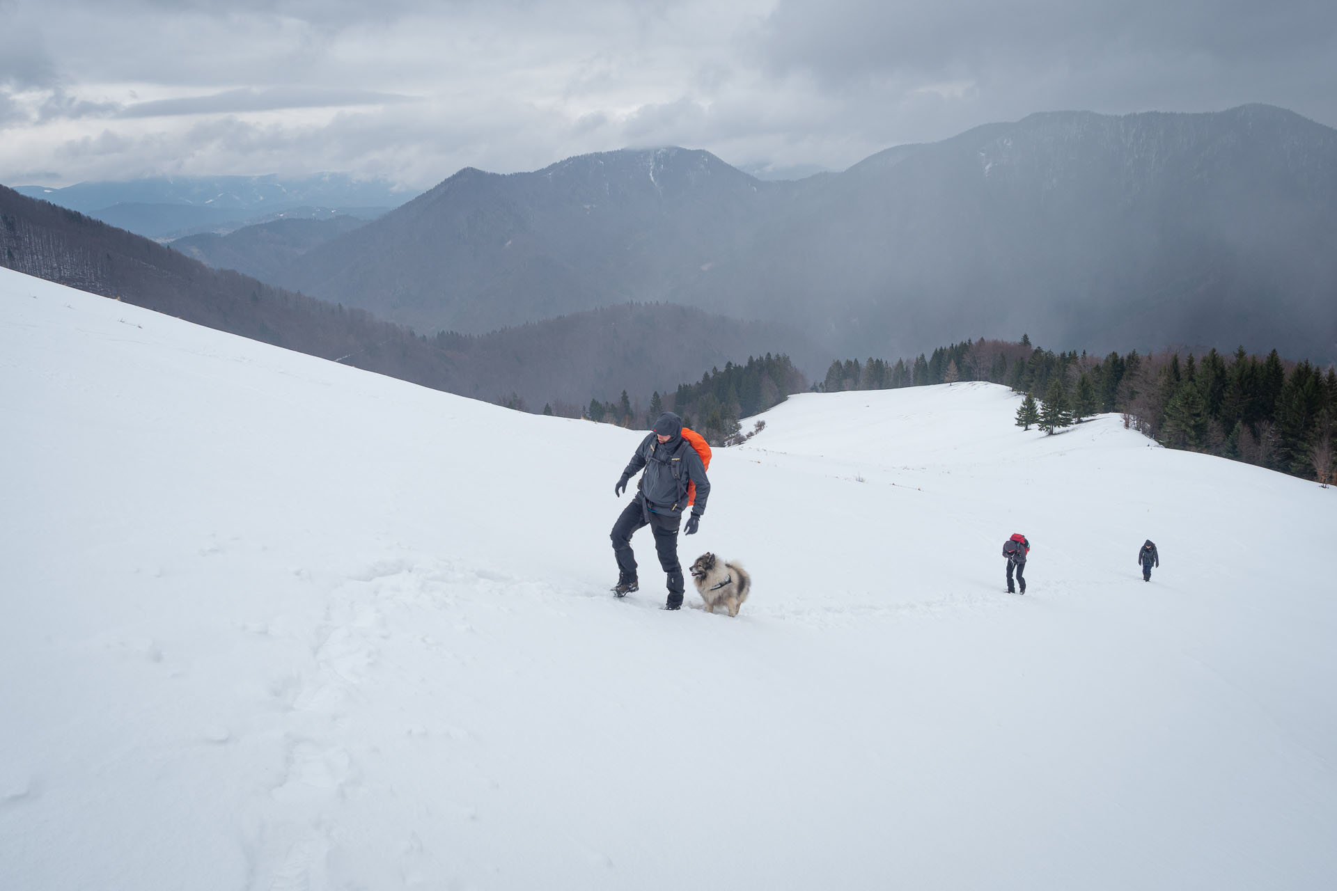 Osnica z Lučivnej (Malá Fatra)