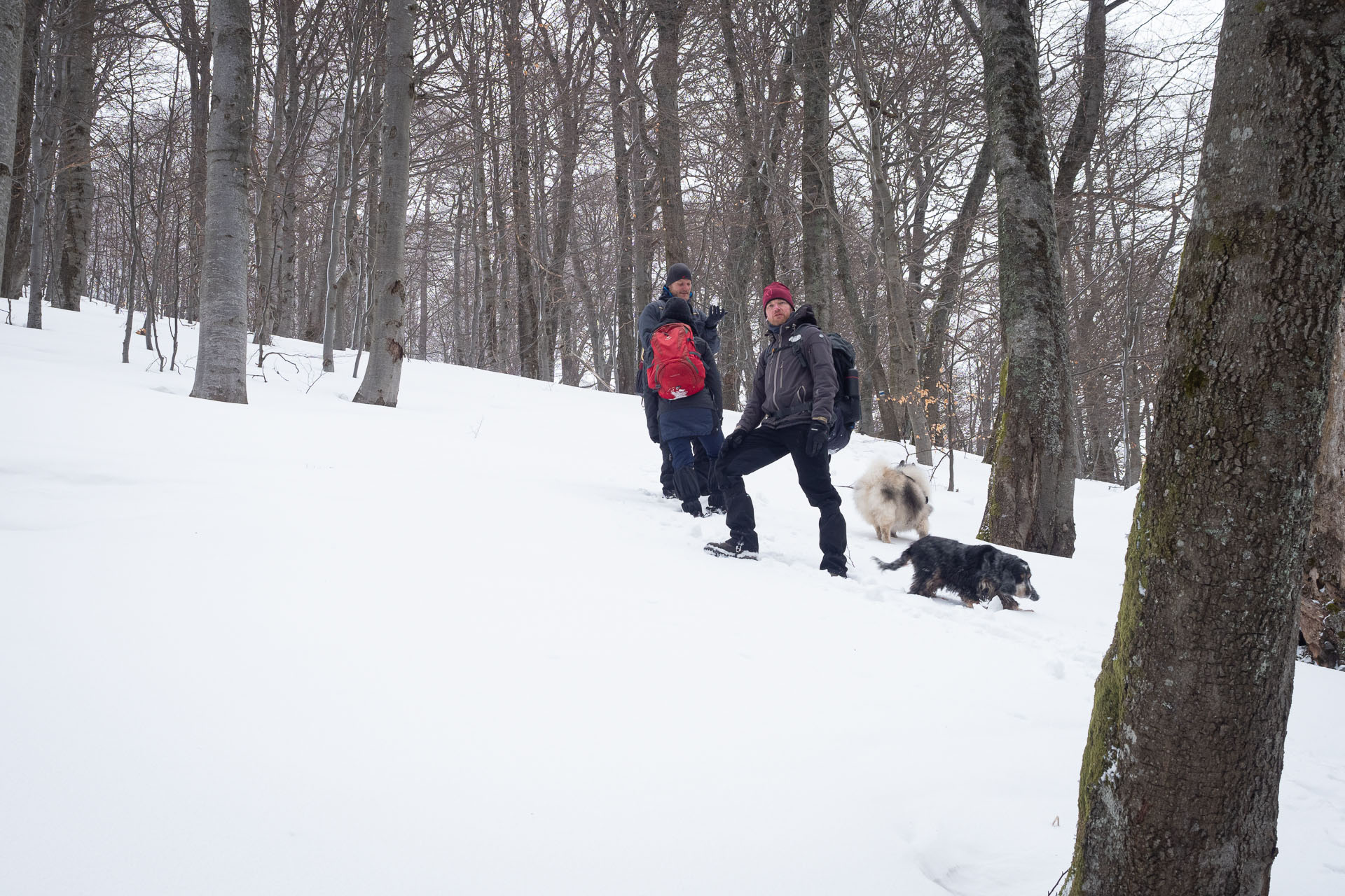 Osnica z Lučivnej (Malá Fatra)