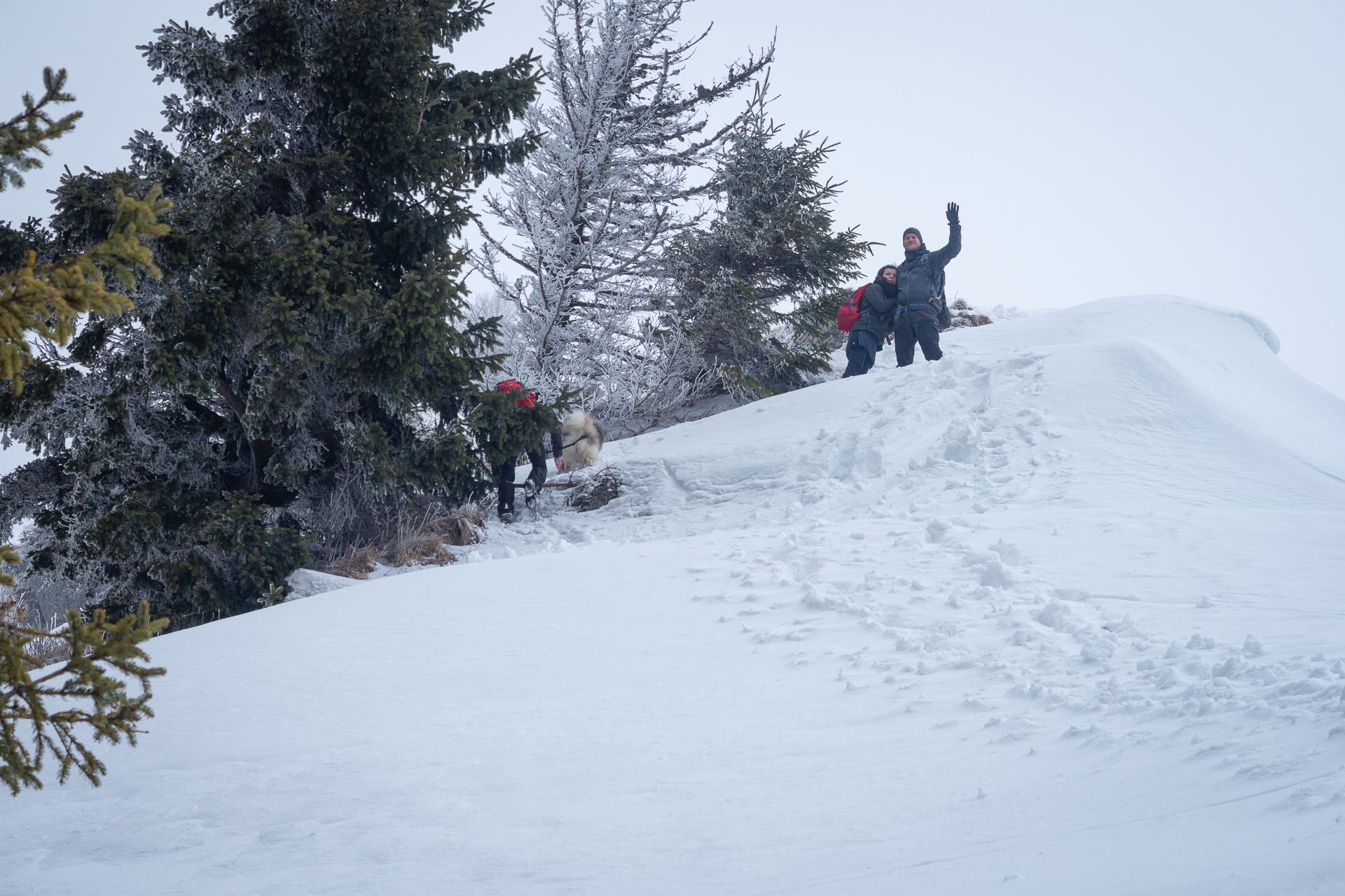 Osnica z Lučivnej (Malá Fatra)