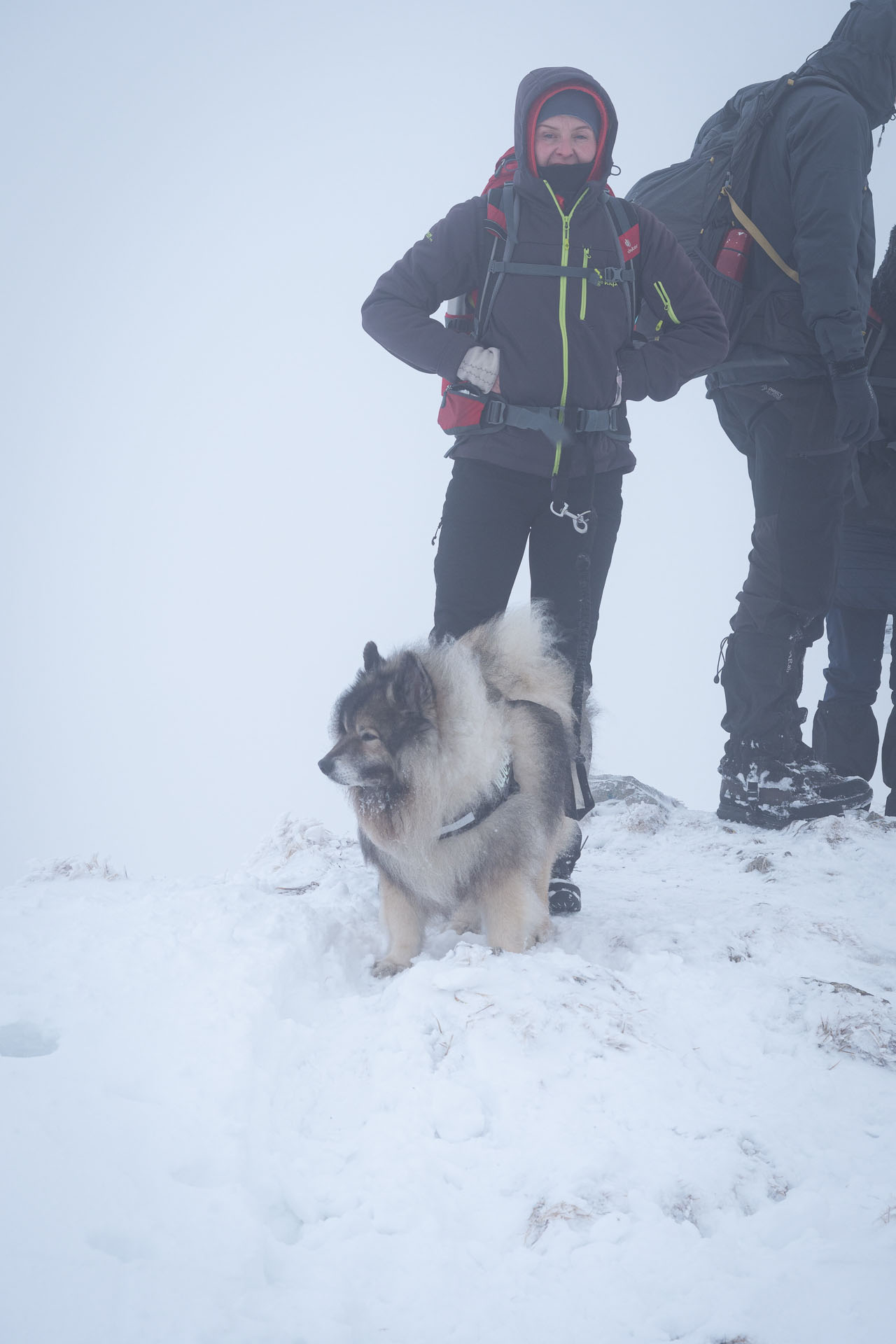 Osnica z Lučivnej (Malá Fatra)