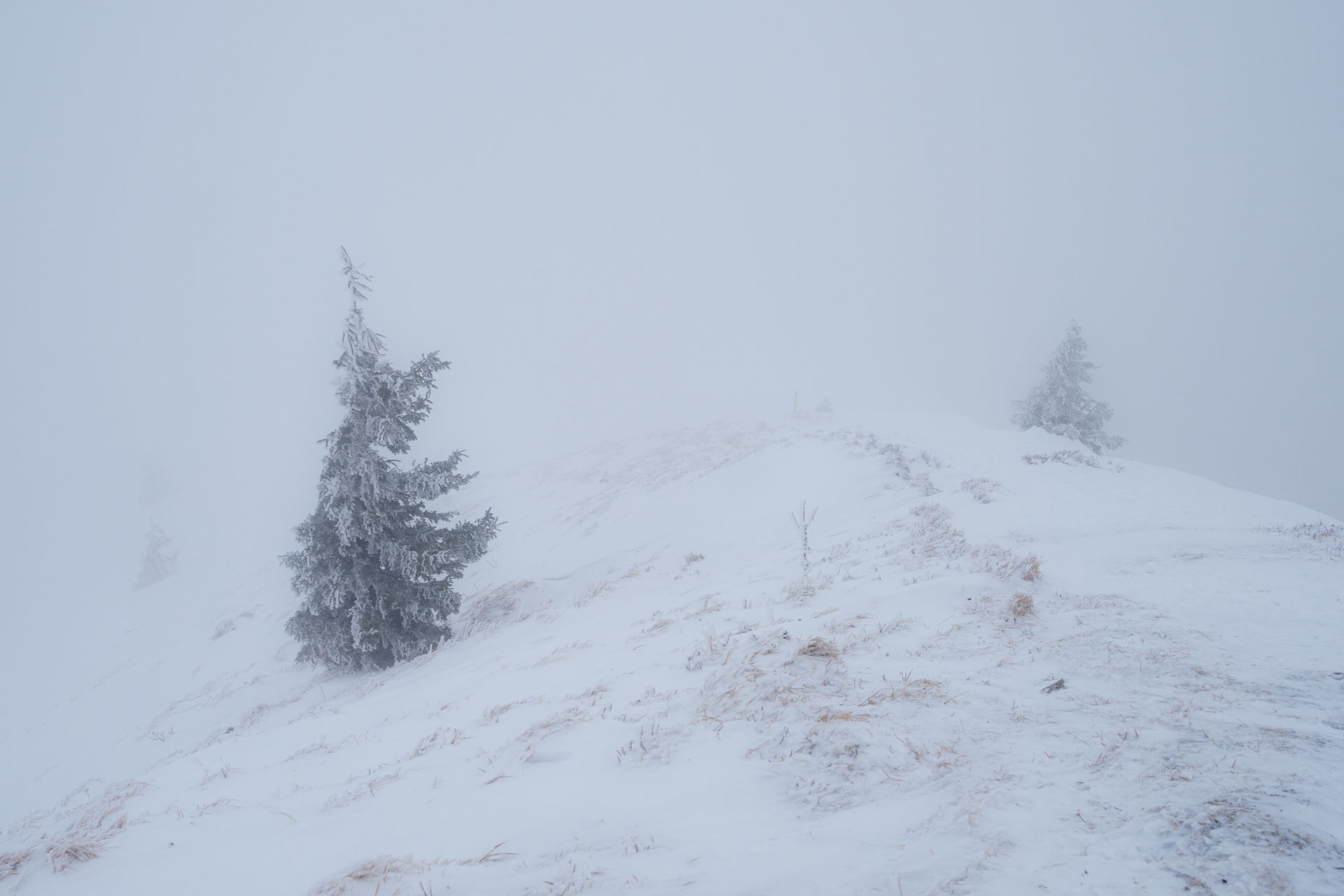 Osnica z Lučivnej (Malá Fatra)