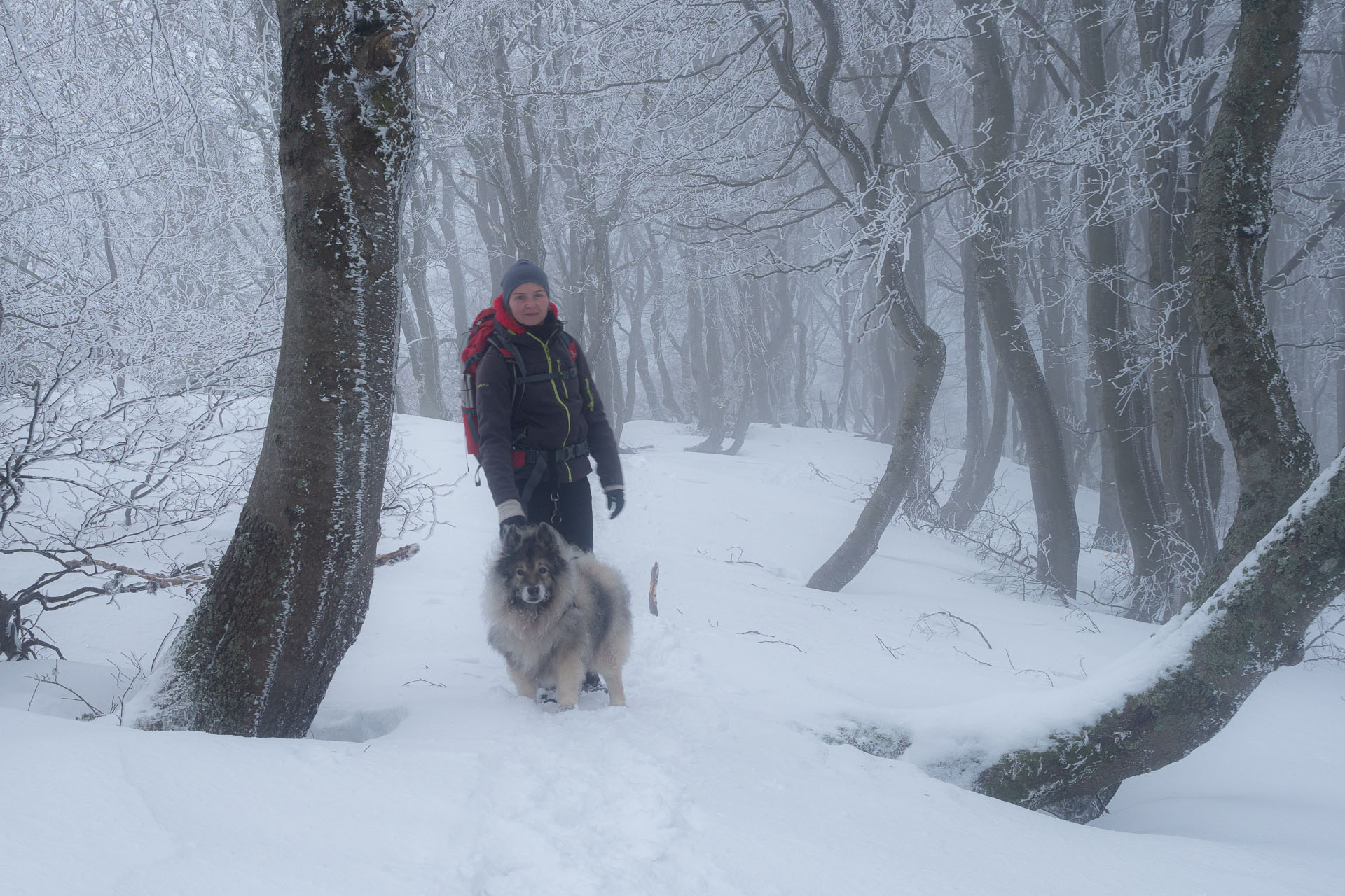 Osnica z Lučivnej (Malá Fatra)